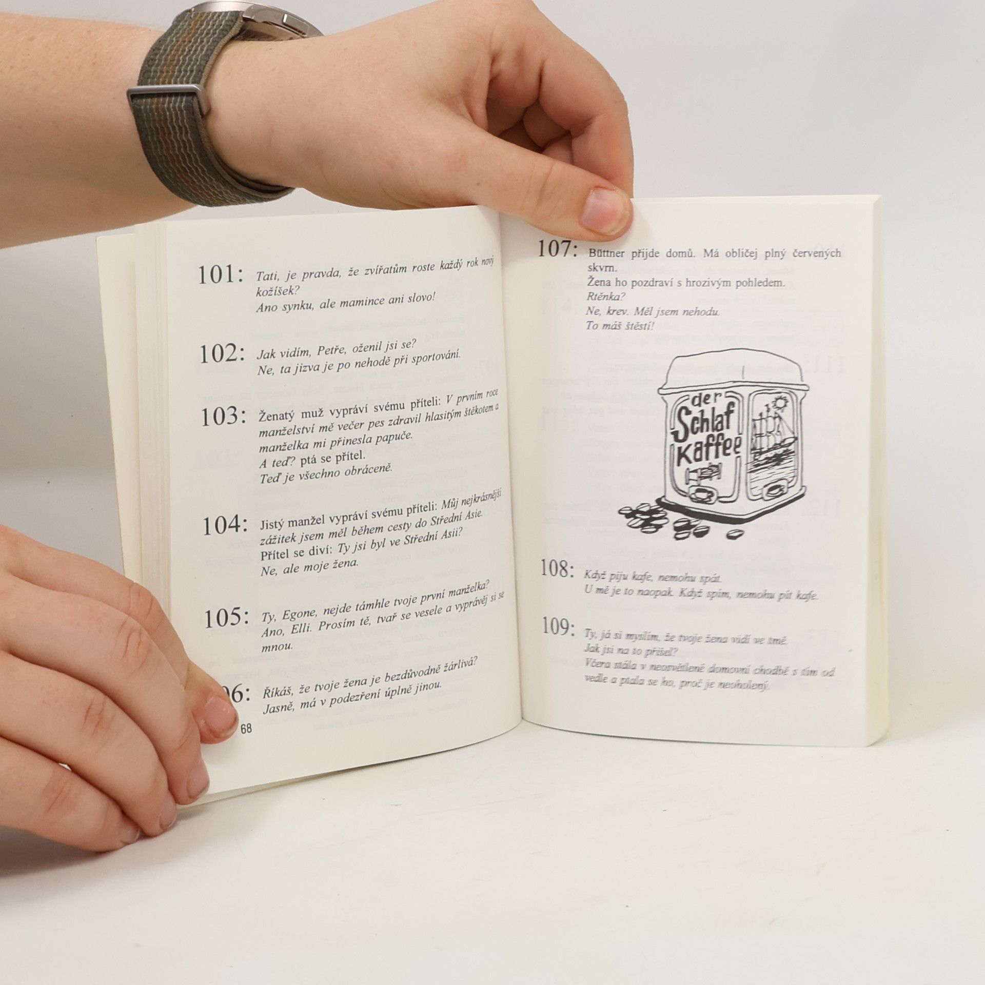 Gabriela Kůrová Deutsch-Tschechisches Witzbuch. Německo-česká kniha vtipů