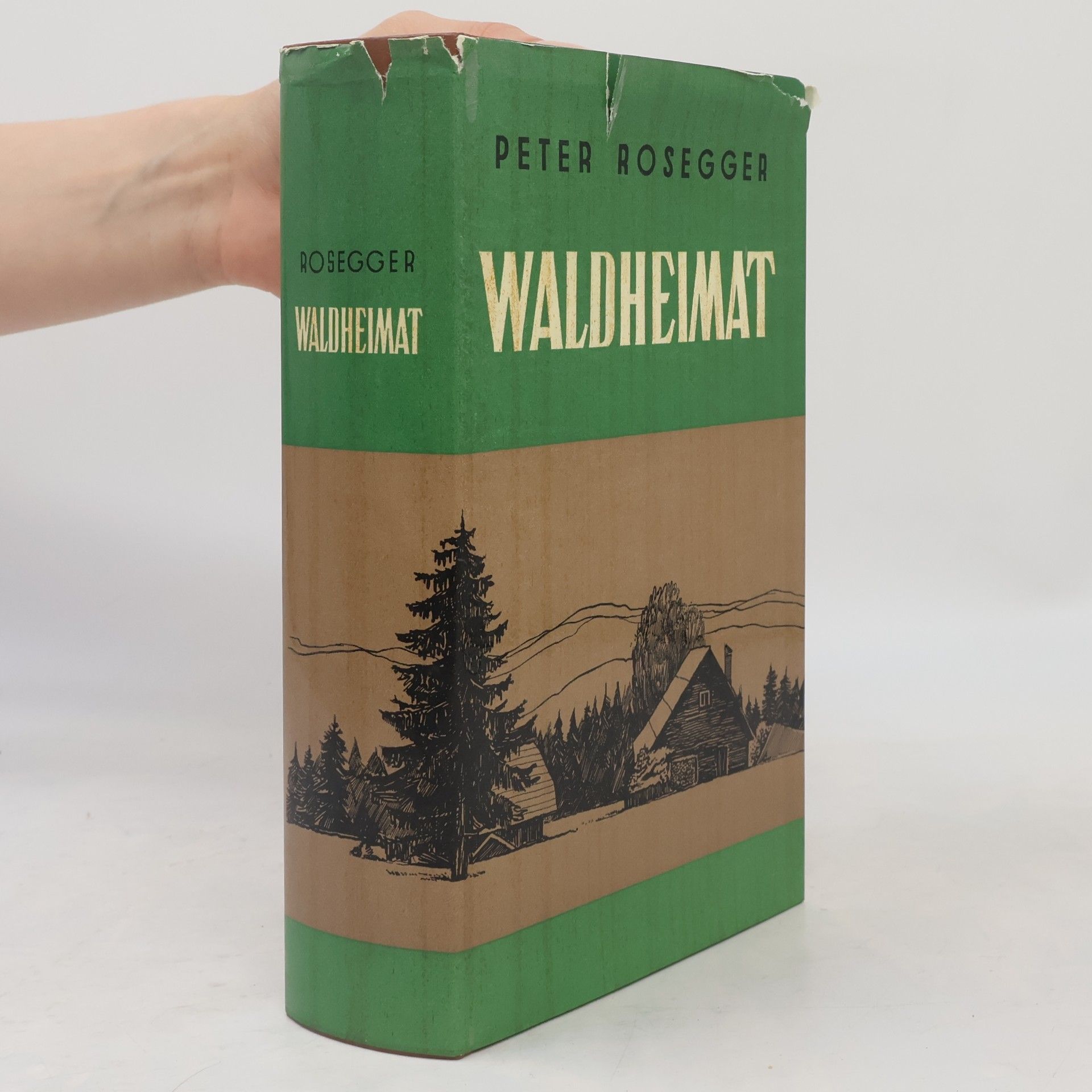 Peter Rosegger Waldheimat