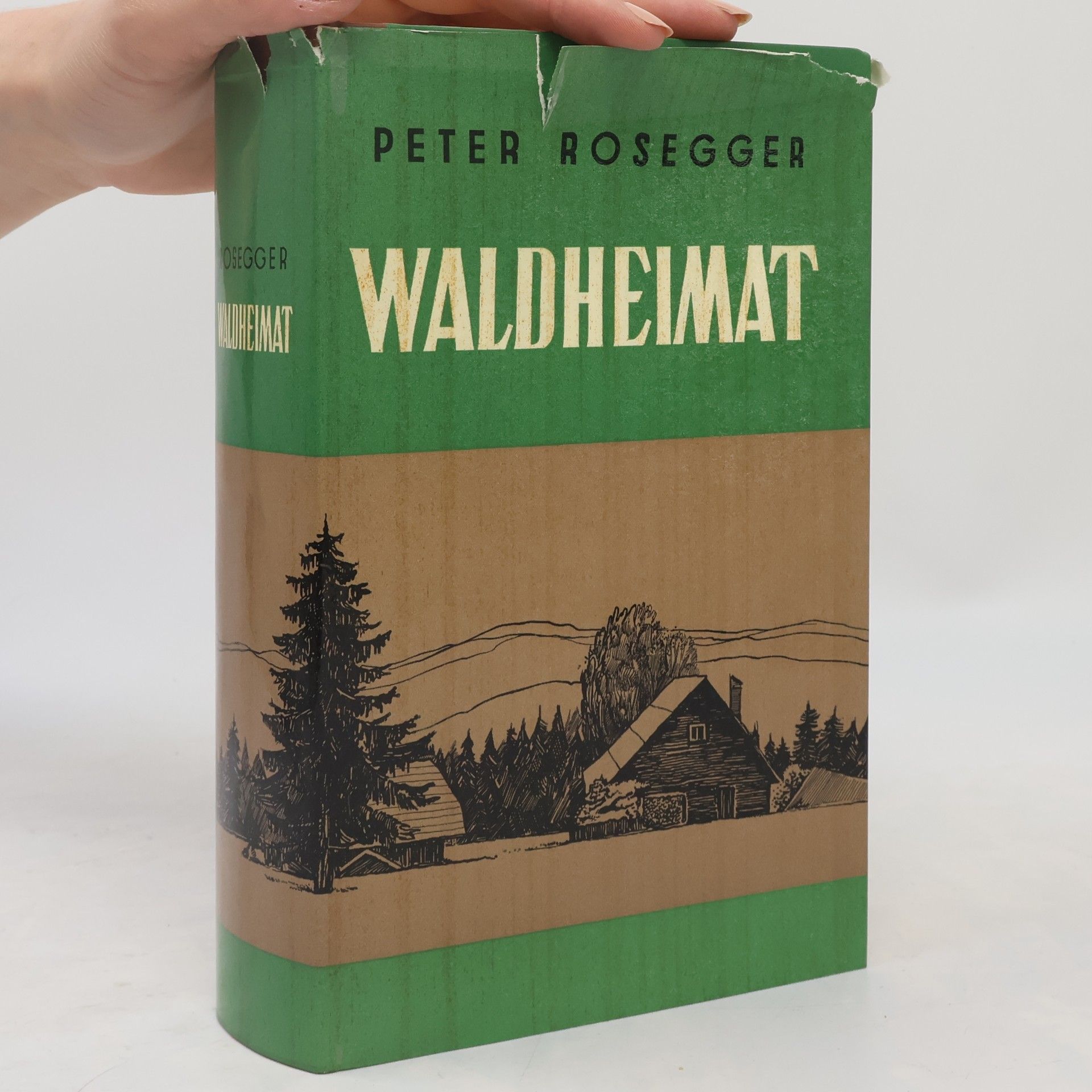 Peter Rosegger Waldheimat