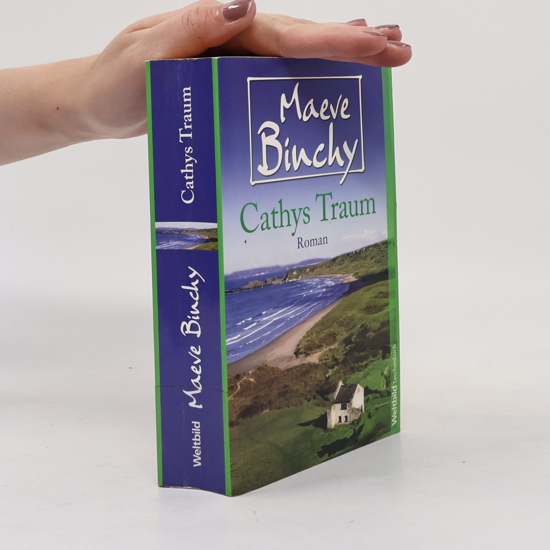 Maeve Binchy Cathys Traum