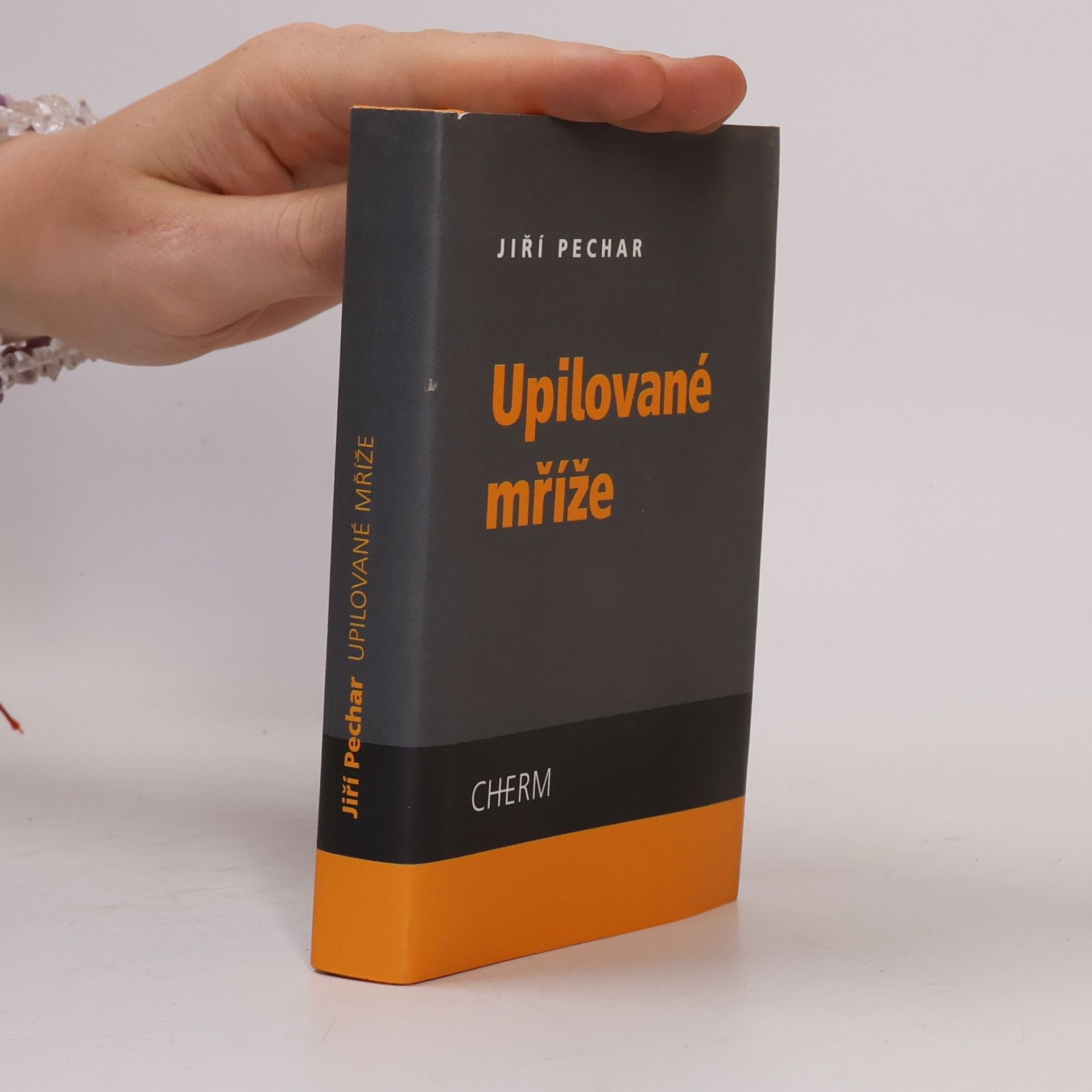 Jiří Pechar Upilované mříže