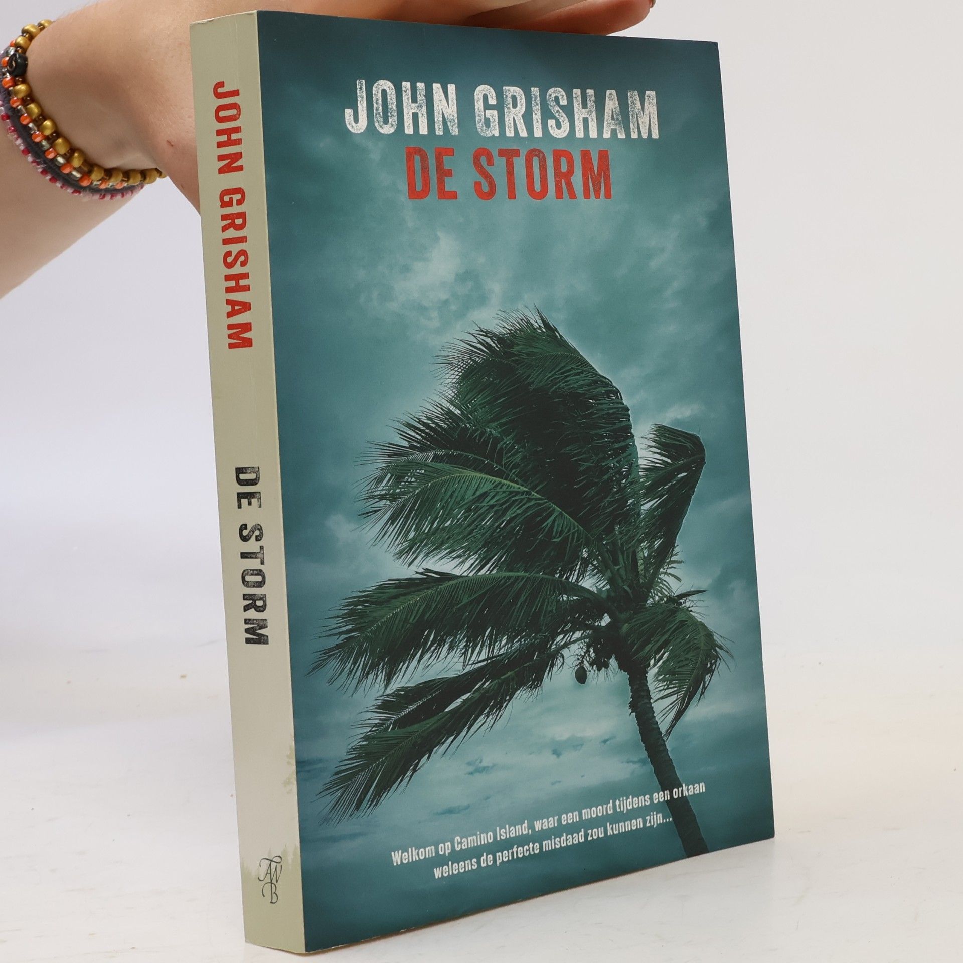 John Grisham De storm