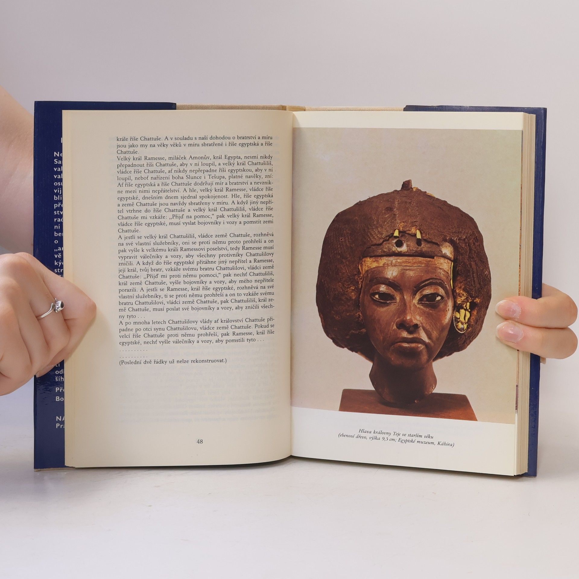 Philipp Vandenberg Nefertiti