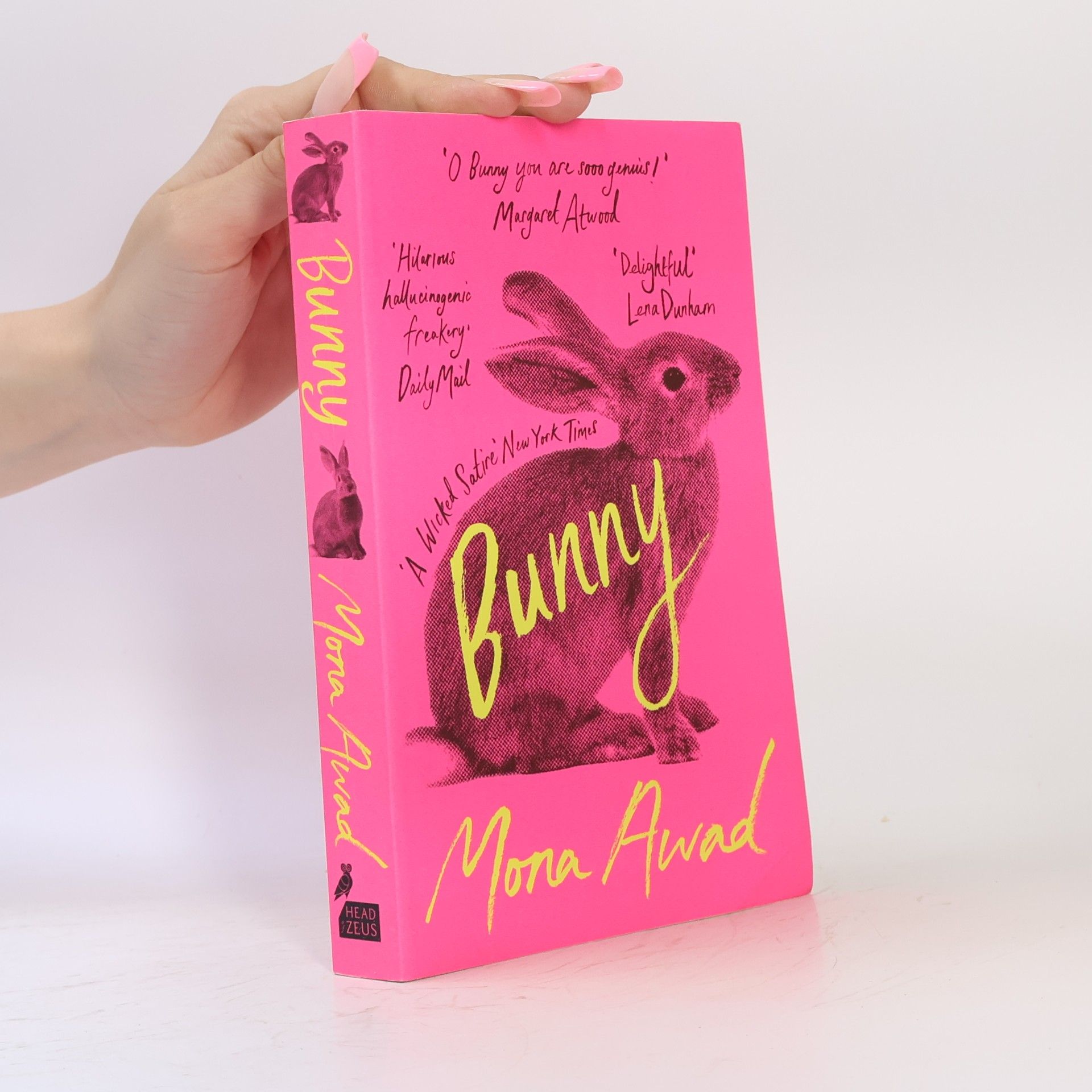 Mona Awad Bunny