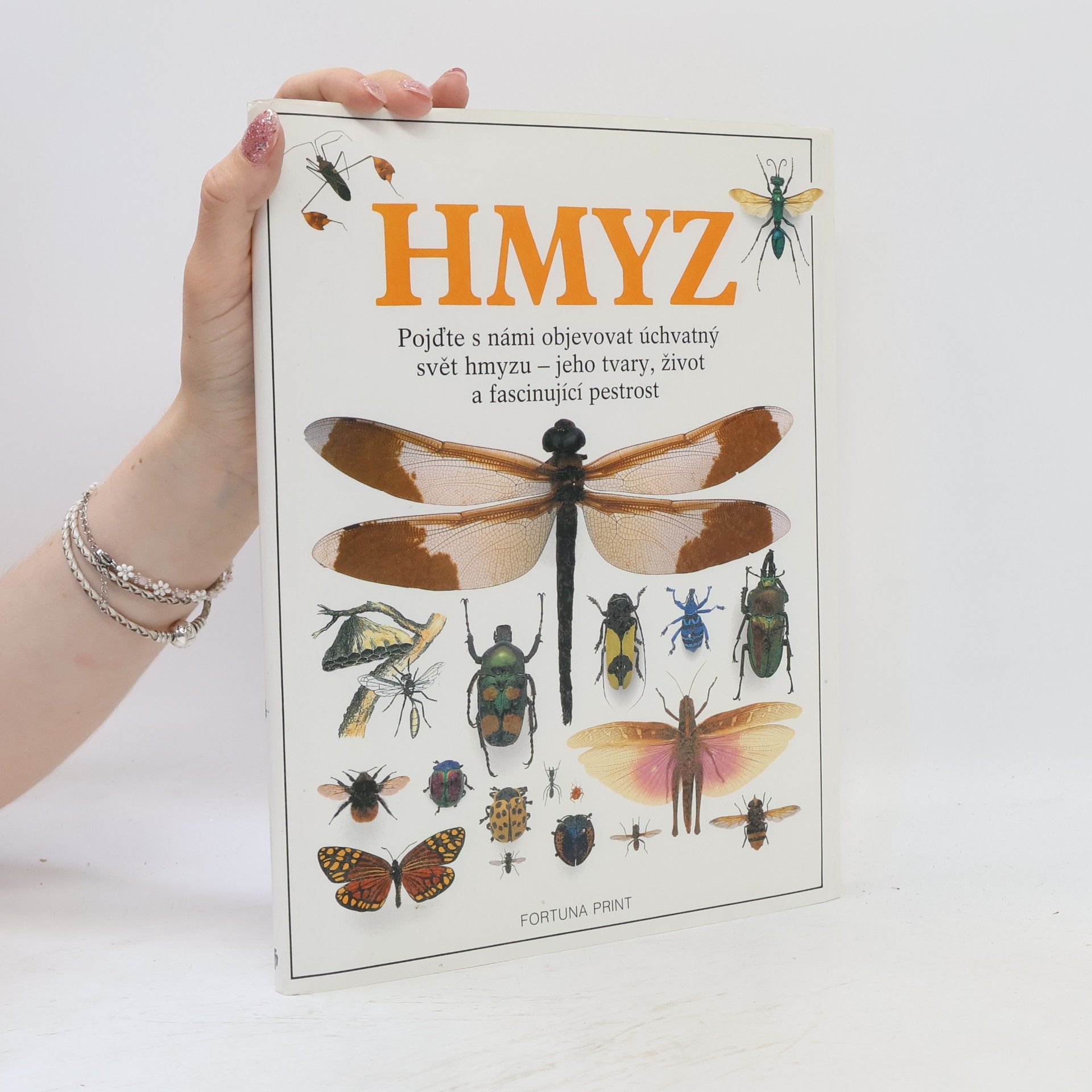 Hmyz