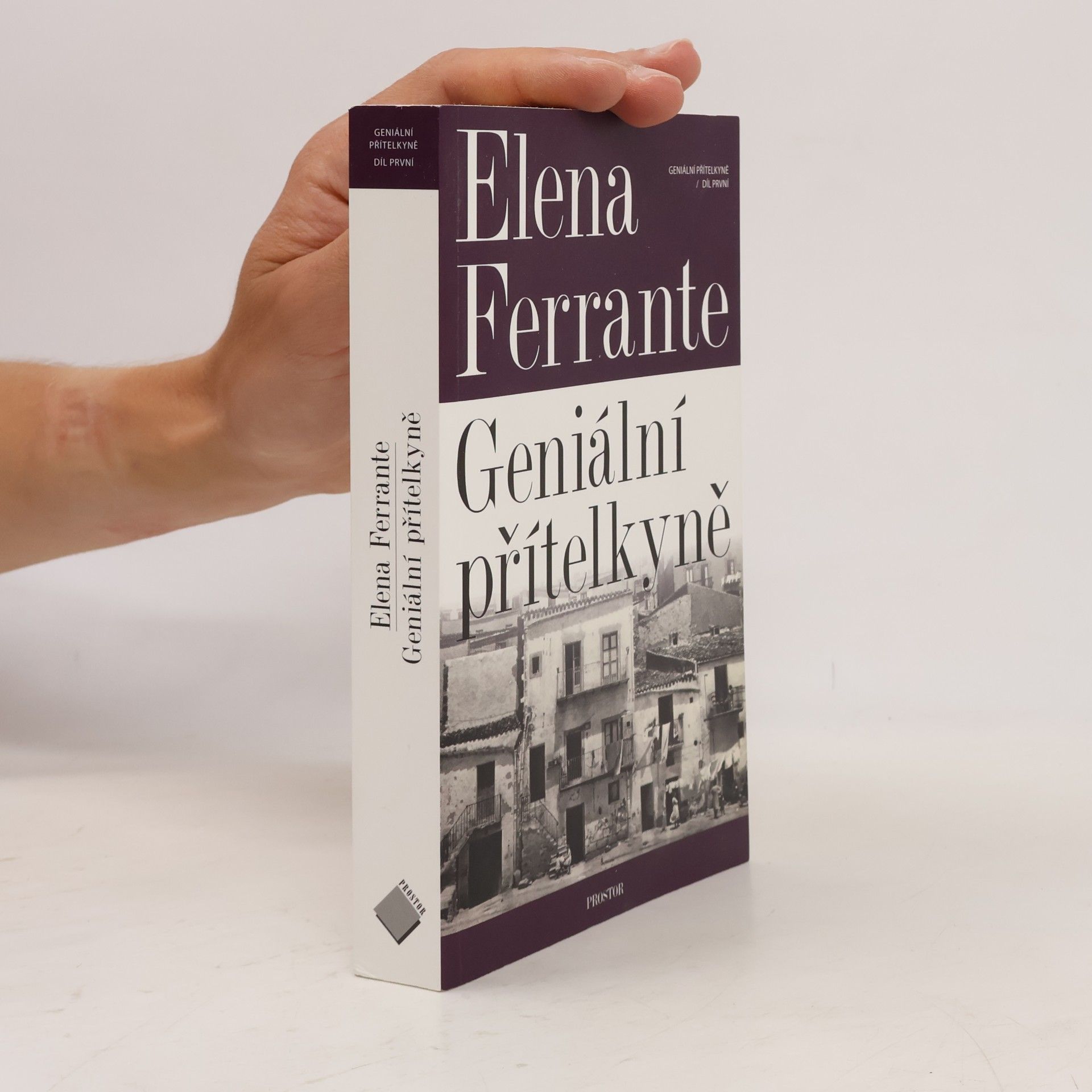 Elena Ferrante Geniální přítelkyně 1. Dětství a dospívání