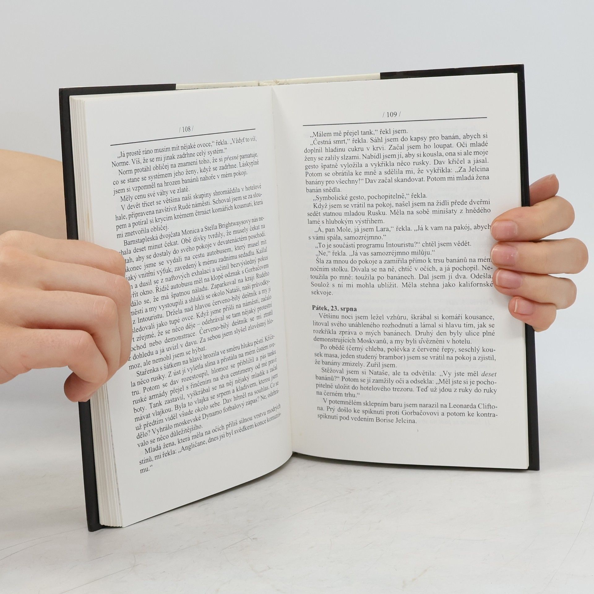 Sue Townsend Adrian Mole. Léta v divočině