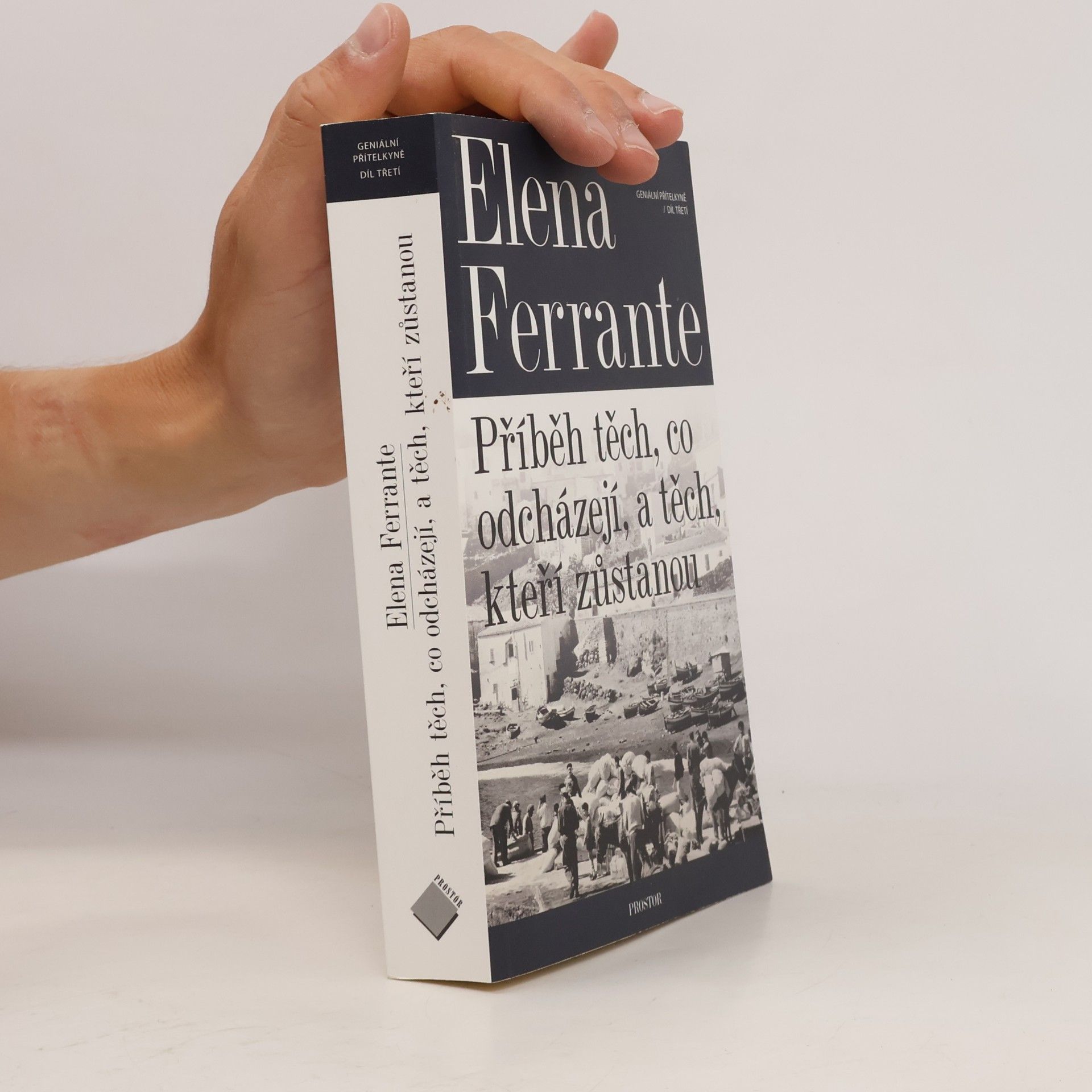Geniální přítelkyně 3. Příběh těch, co odcházejí, a těch, kteří zůstanou