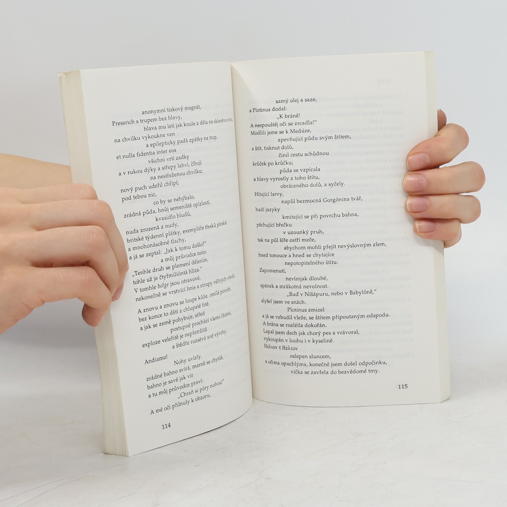 Ezra Pound Chtěl jsem napsat ráj. Výbor z díla