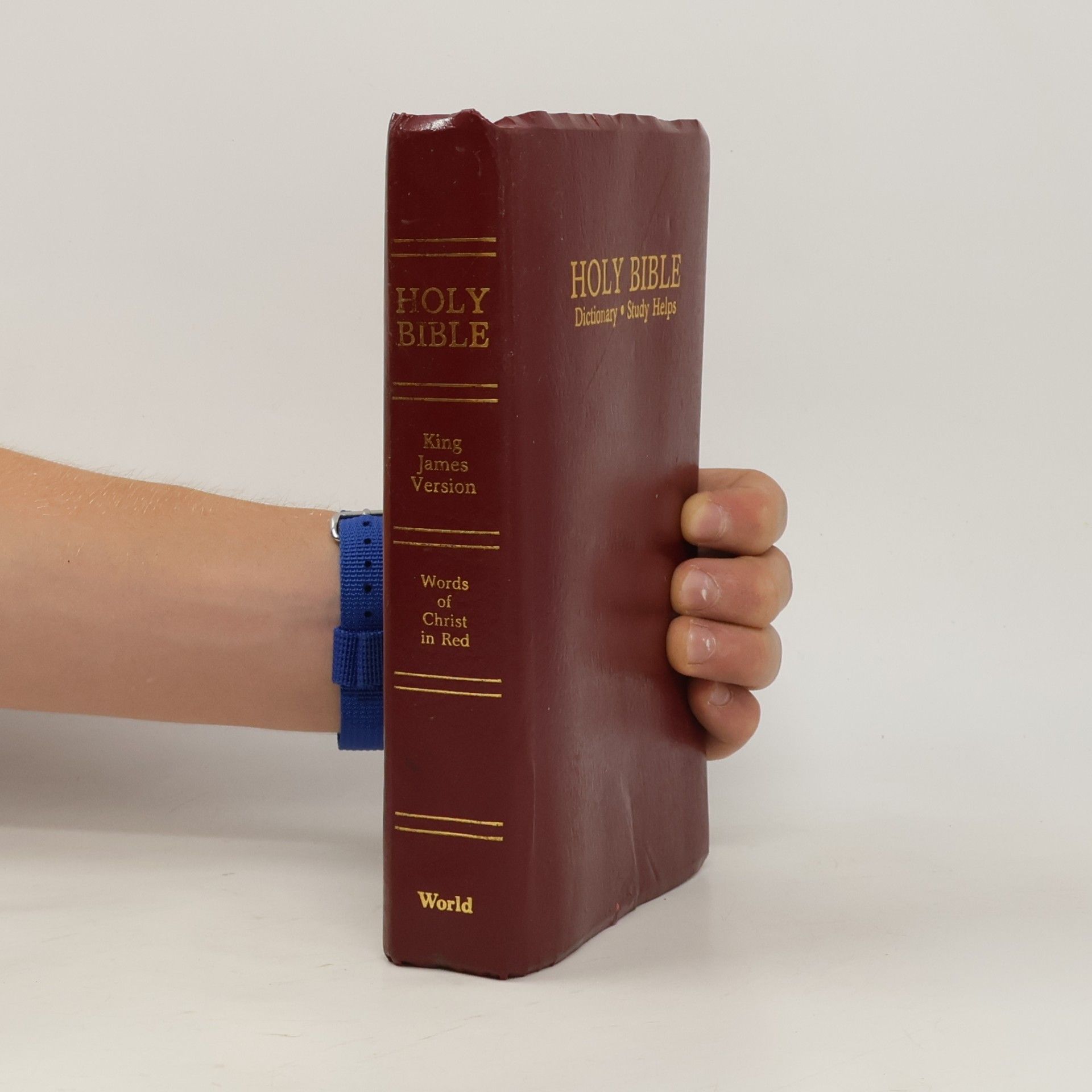 Kolektiv autorů Holy Bible