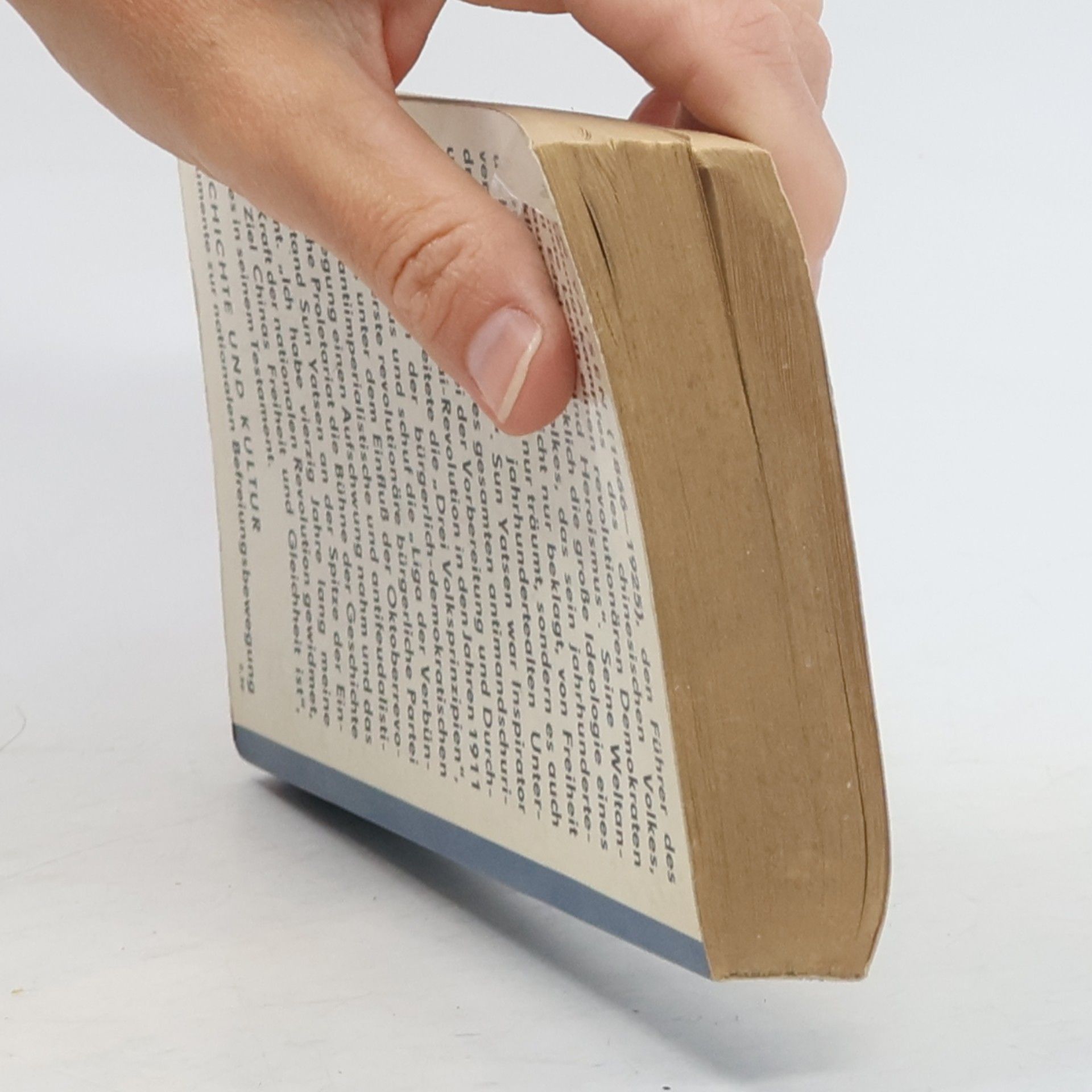 Sun Yatsen Reden und Schriften