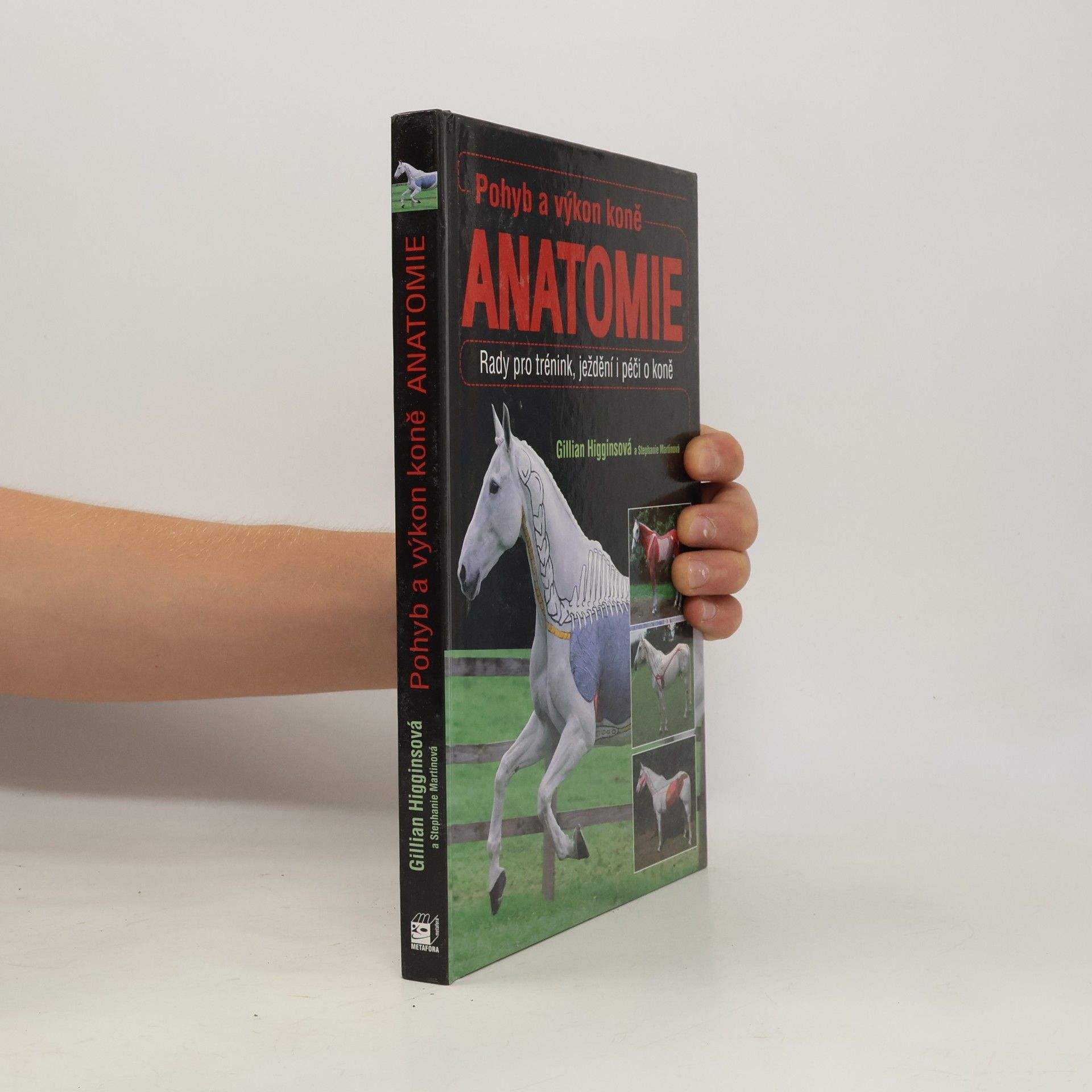 Pohyb a výkon koně. Anatomie