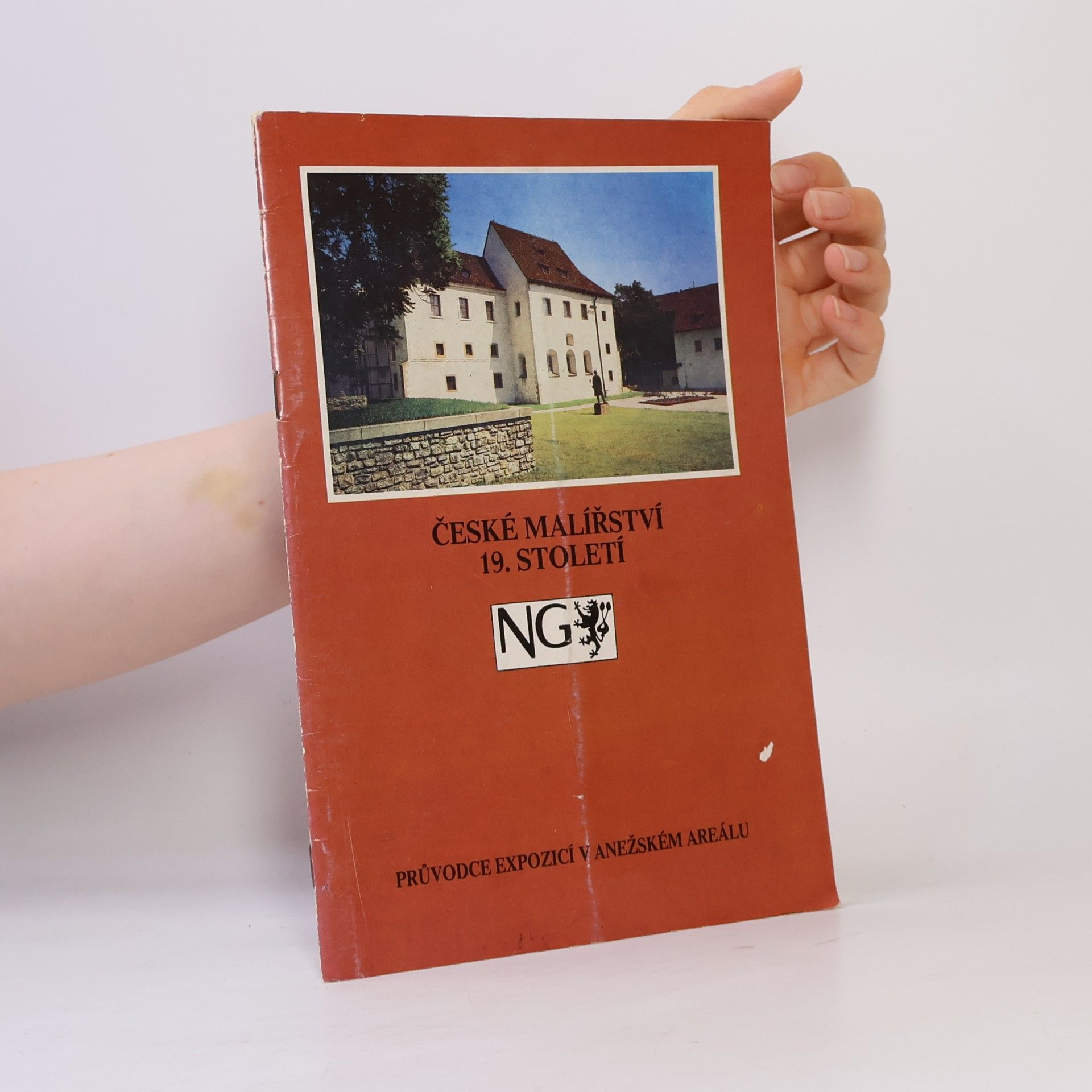 Jiří Kotalík České malířství 19. století. Průvodce stálou expozicí v Anežském areálu