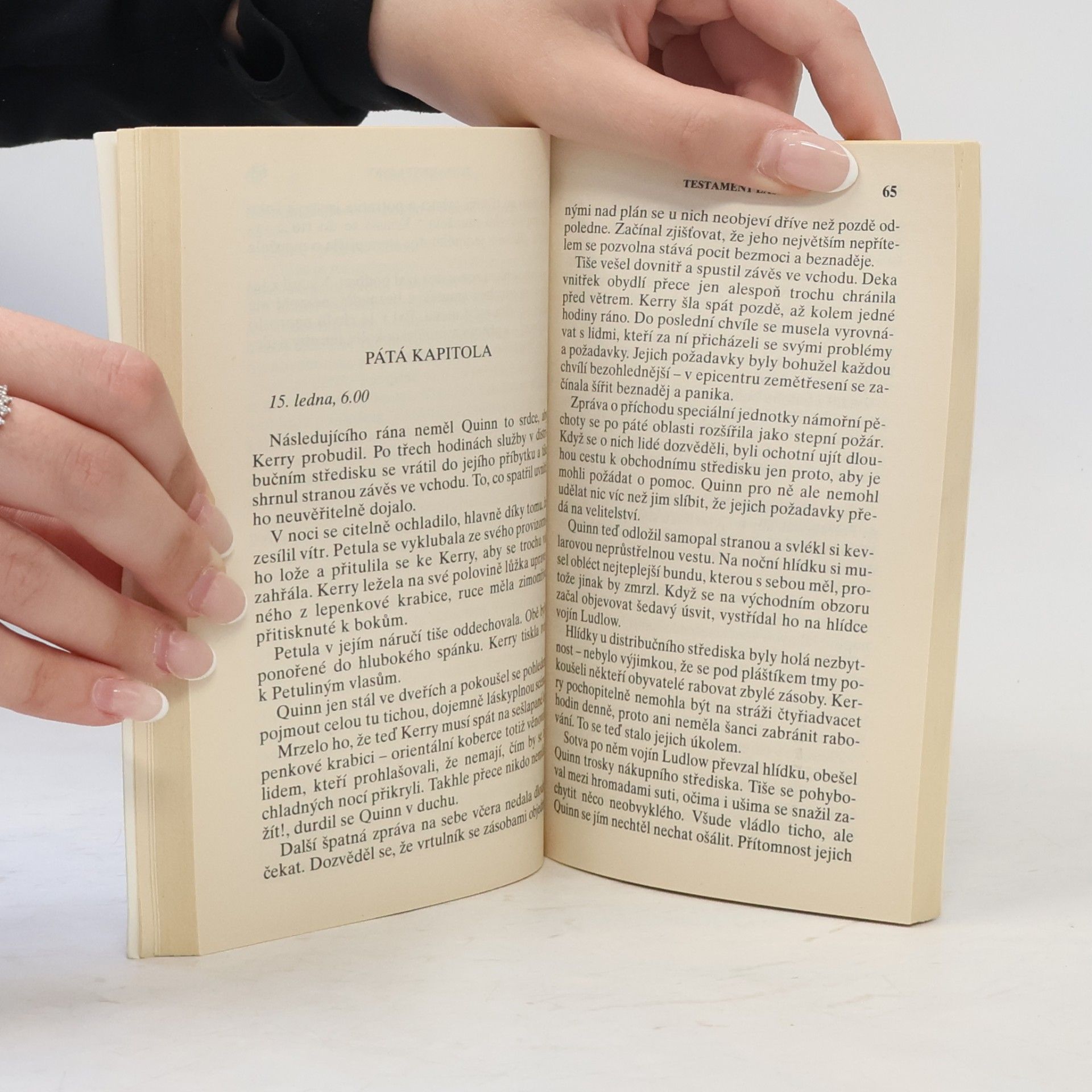 Lindsay McKenna Testament lásky
