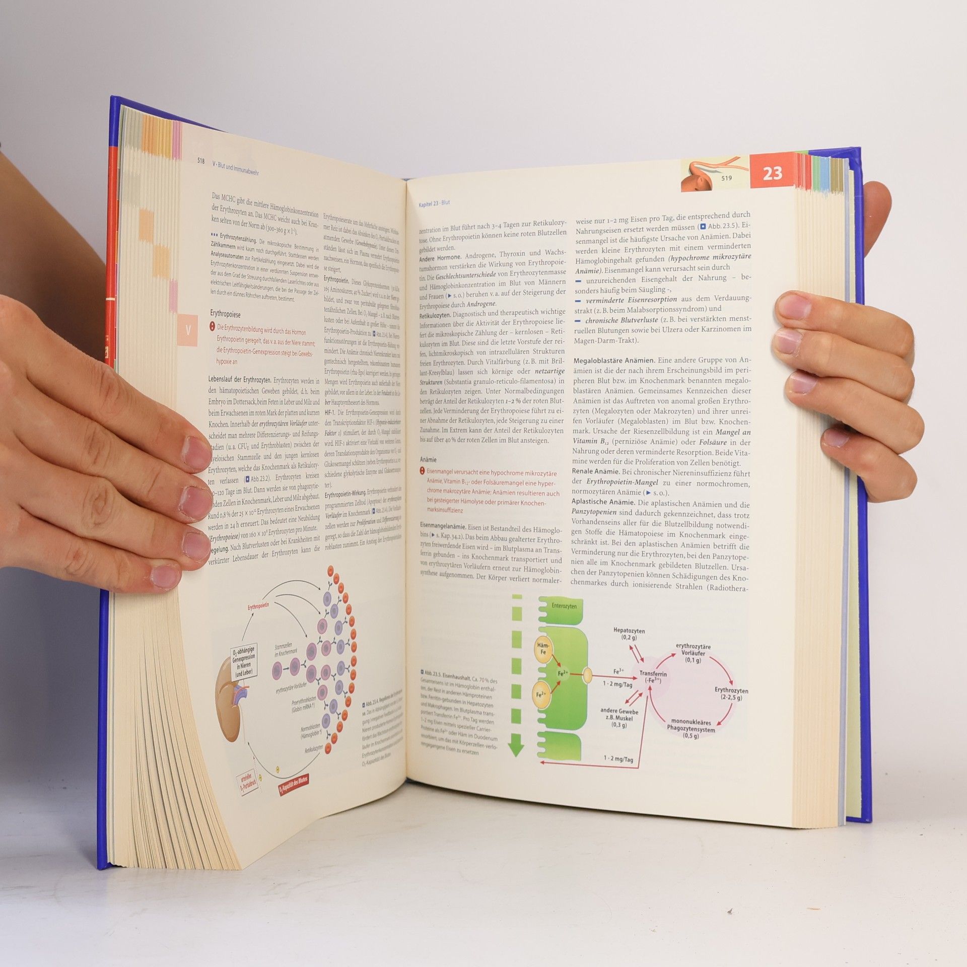 R. F. Schmidt Physiologie des Menschen