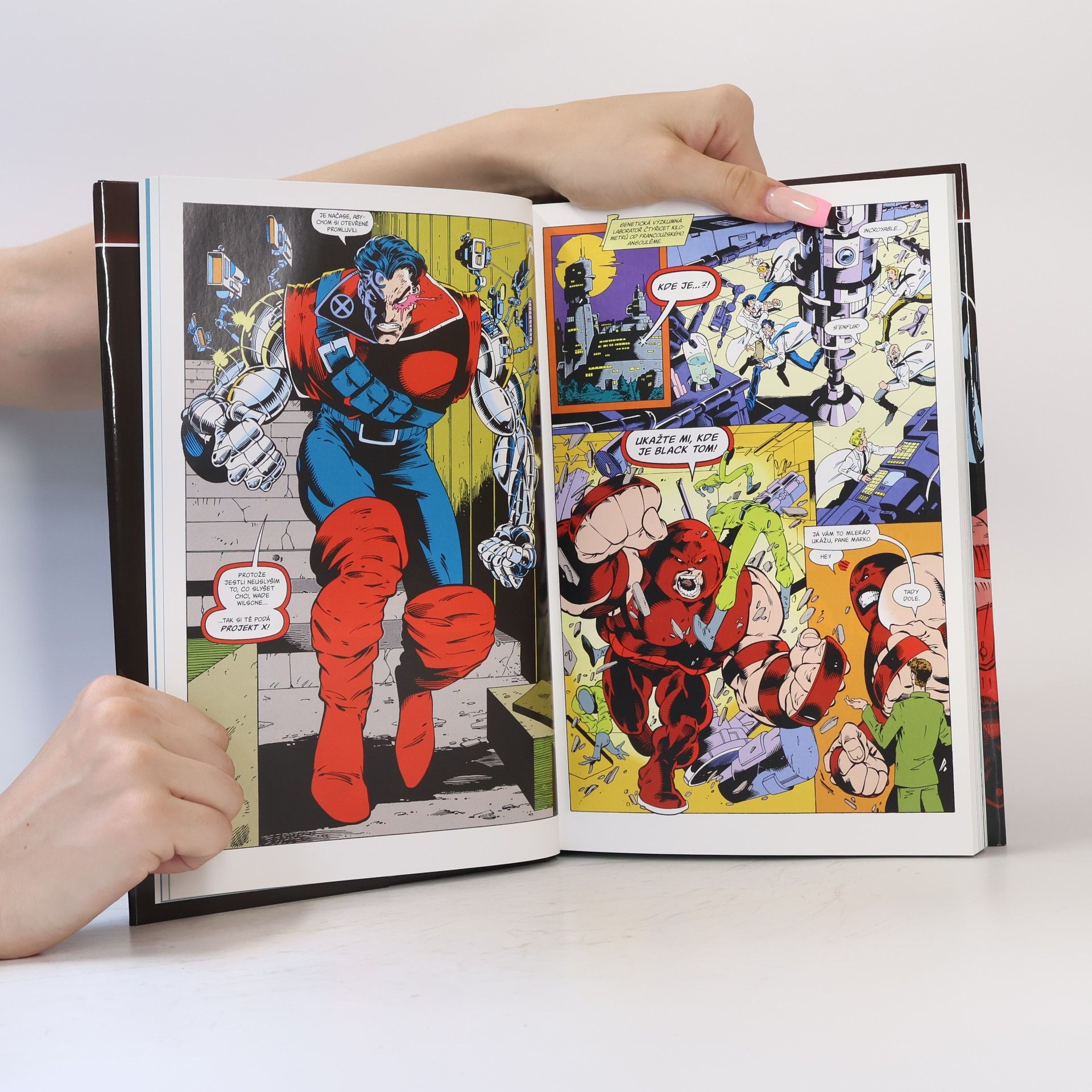 Rob Liefeld Deadpool : klasické příběhy