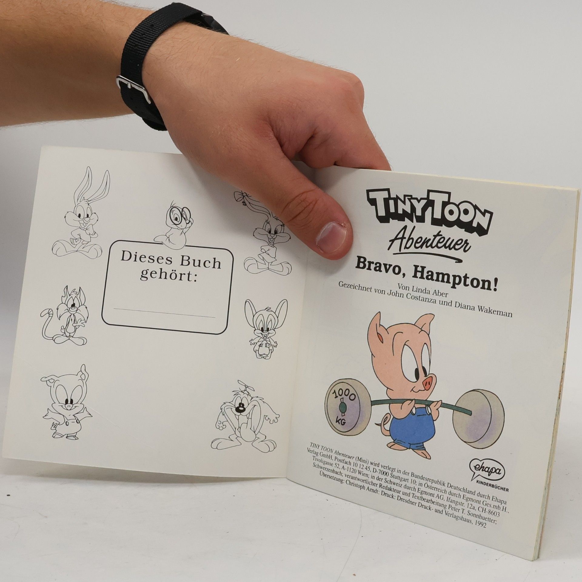 Kolektiv autorů Tiny Toon Abenteuer Nr. 2