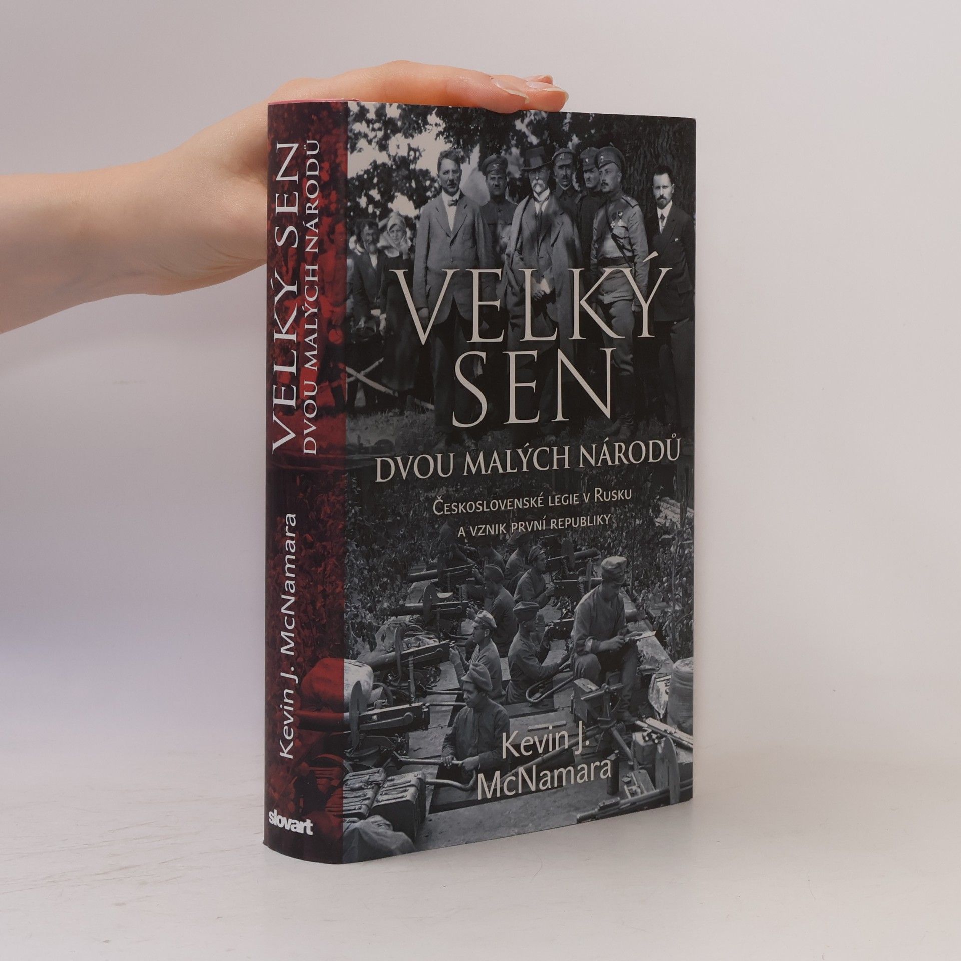 Kevin J. McNamara Velký sen dvou malých národů