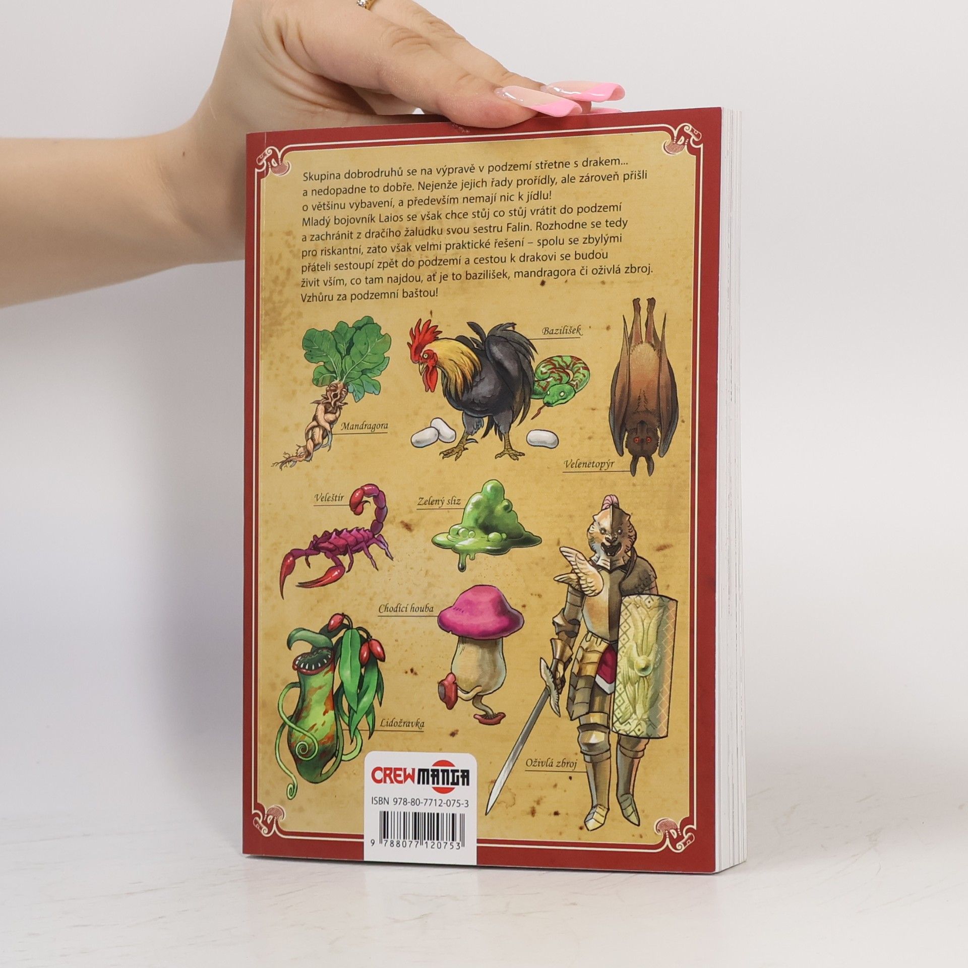 Rjóko Kui Delicious and dungeon - Chuť podzemí