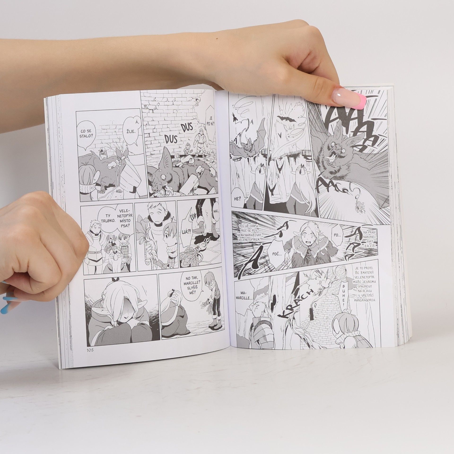Rjóko Kui Delicious and dungeon - Chuť podzemí