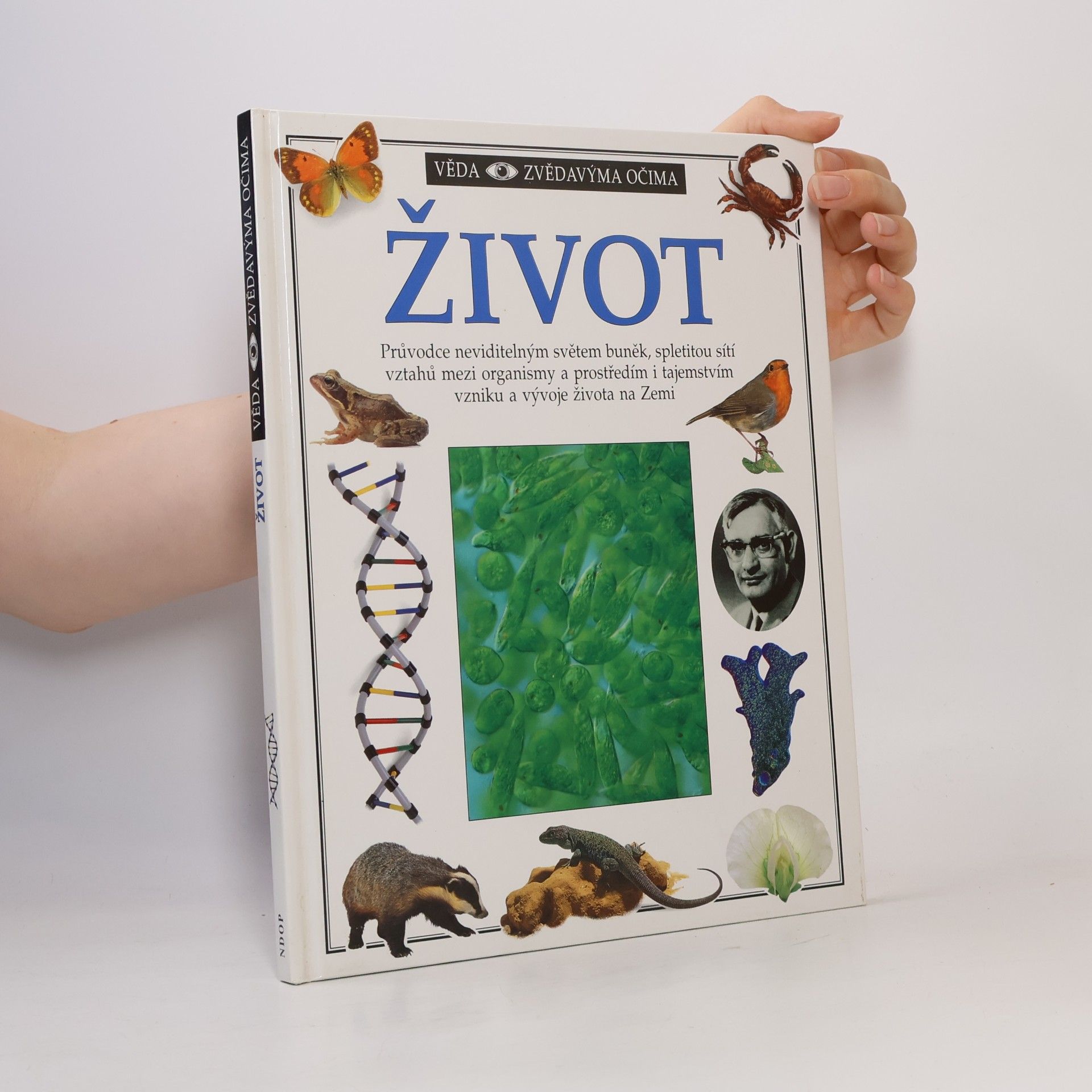 David Burnie Život
