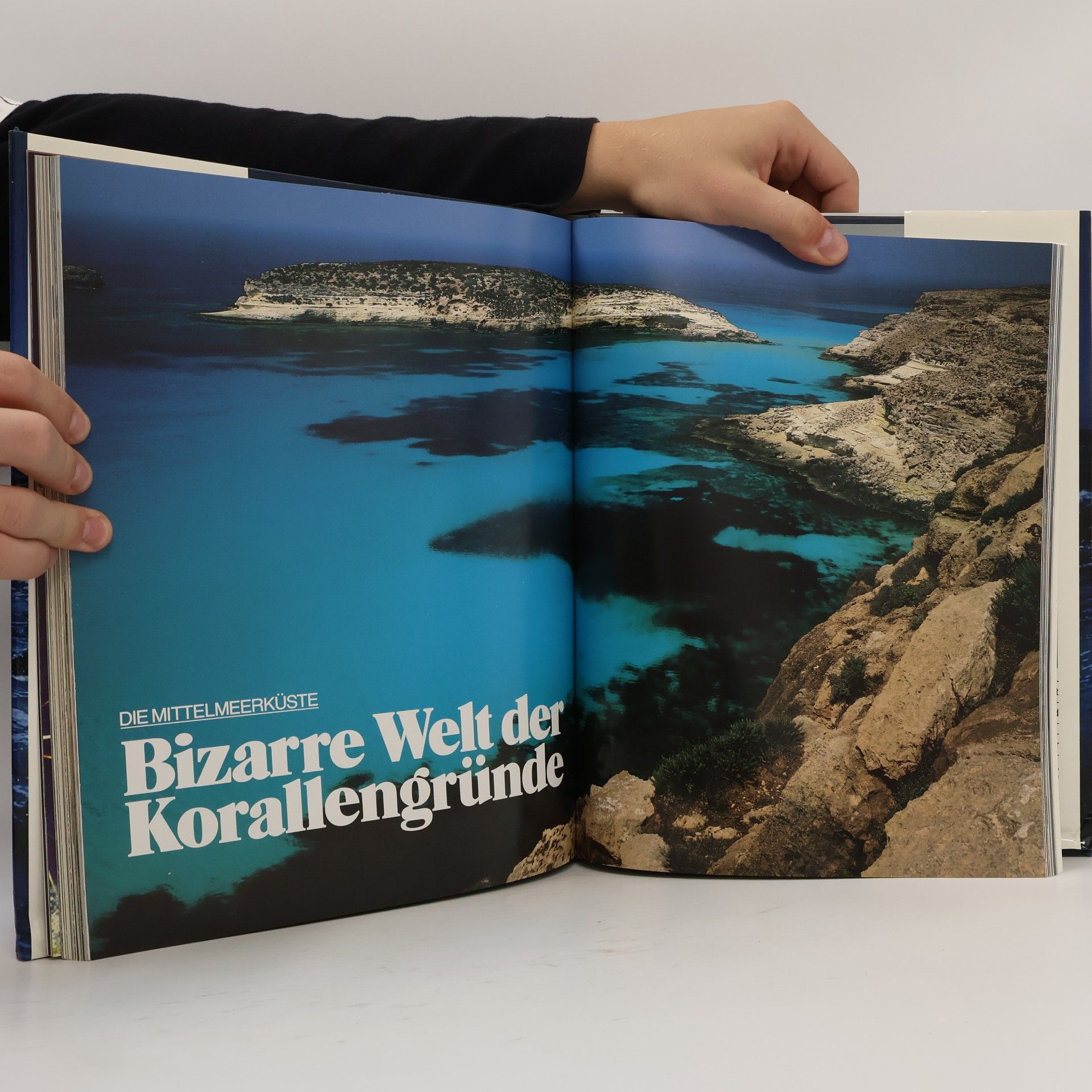 Autorenkollektiv Wunder Zwischen Land Und Meer