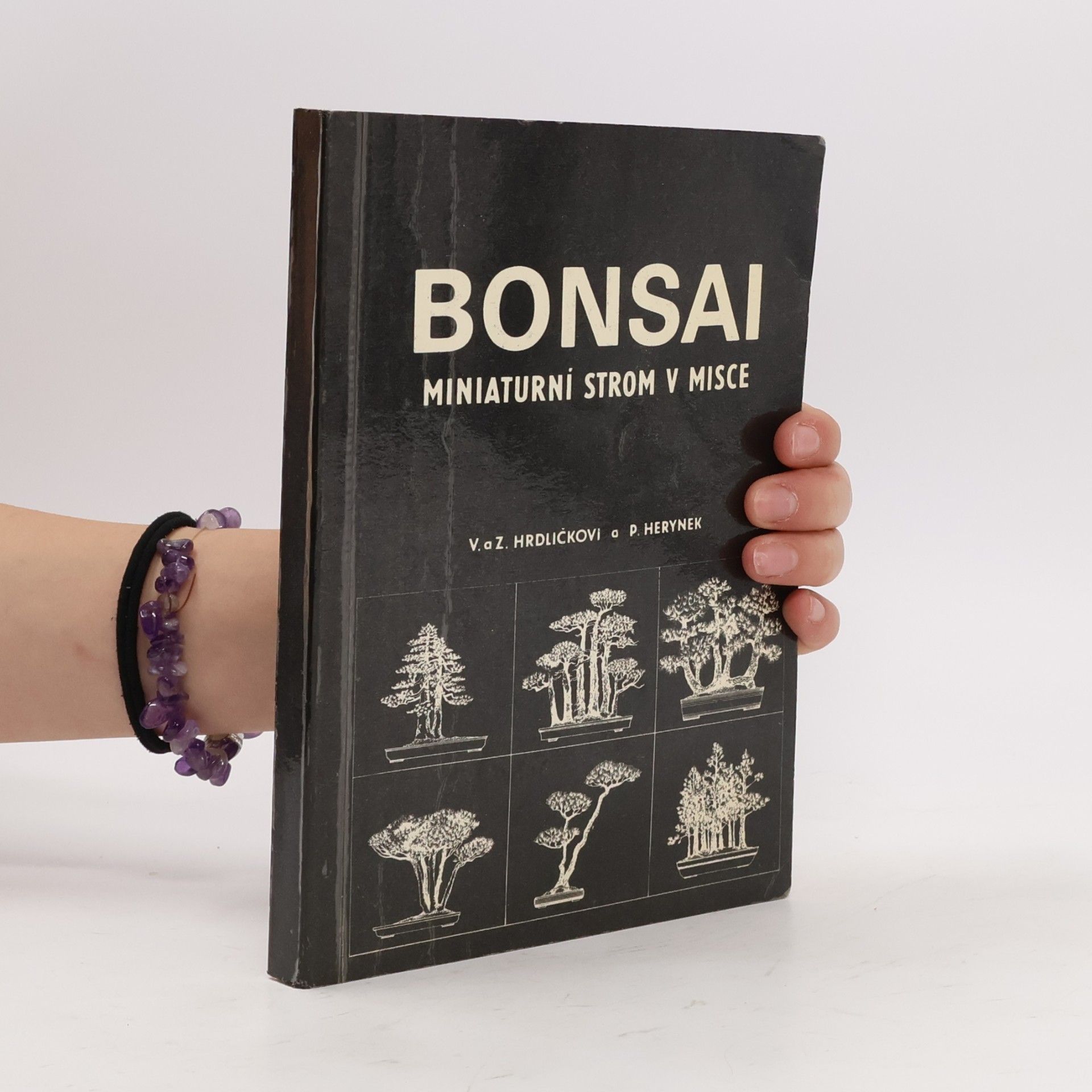 Zdeněk Hrdlička Bonsai. Miniaturní strom v misce
