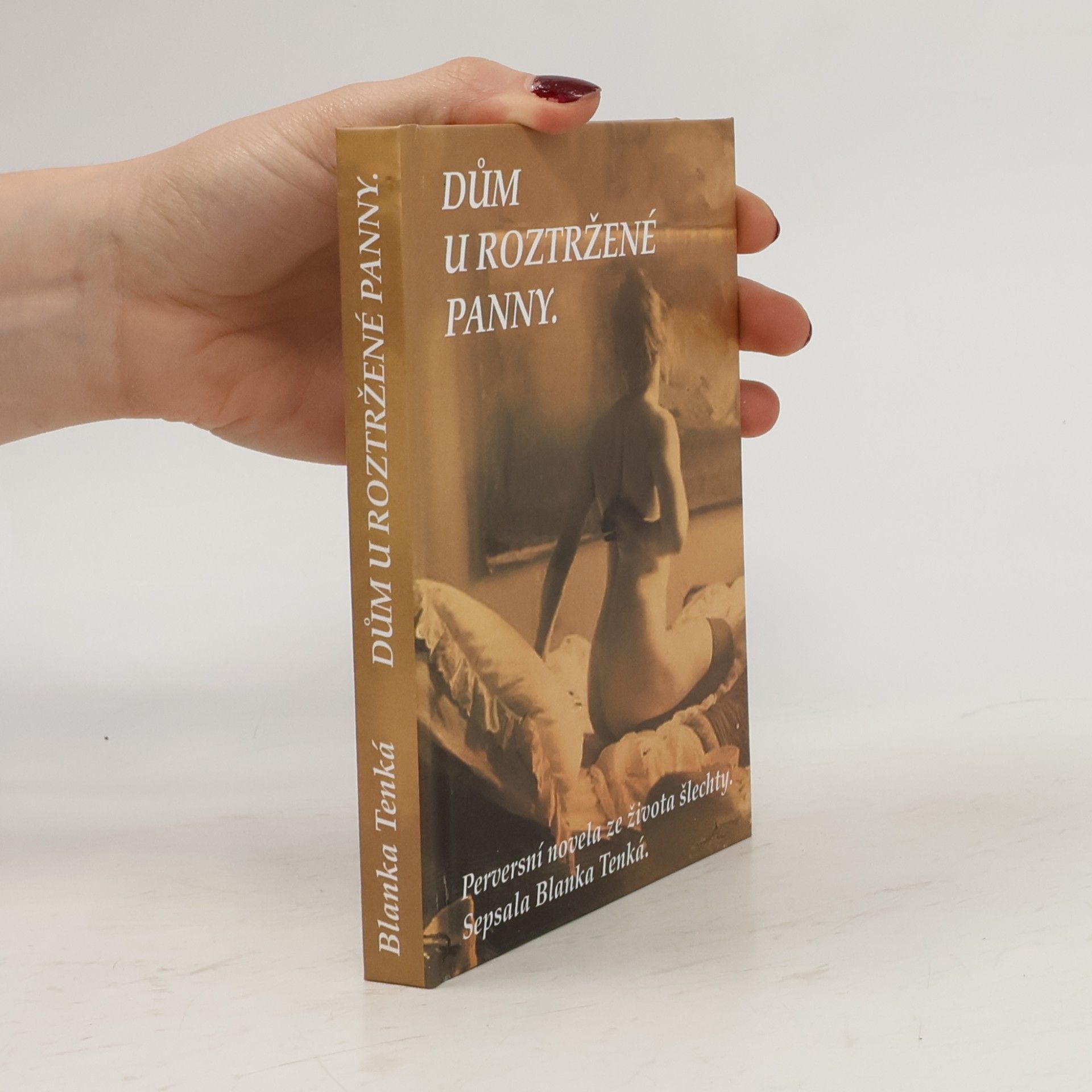Blanka Tenká Dům u roztržené panny : Perversní novela ze života šlechty