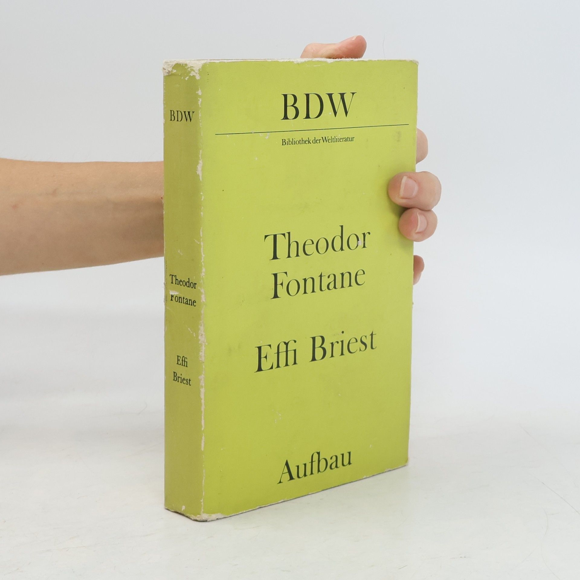 Theodor Fontane Effi Briest