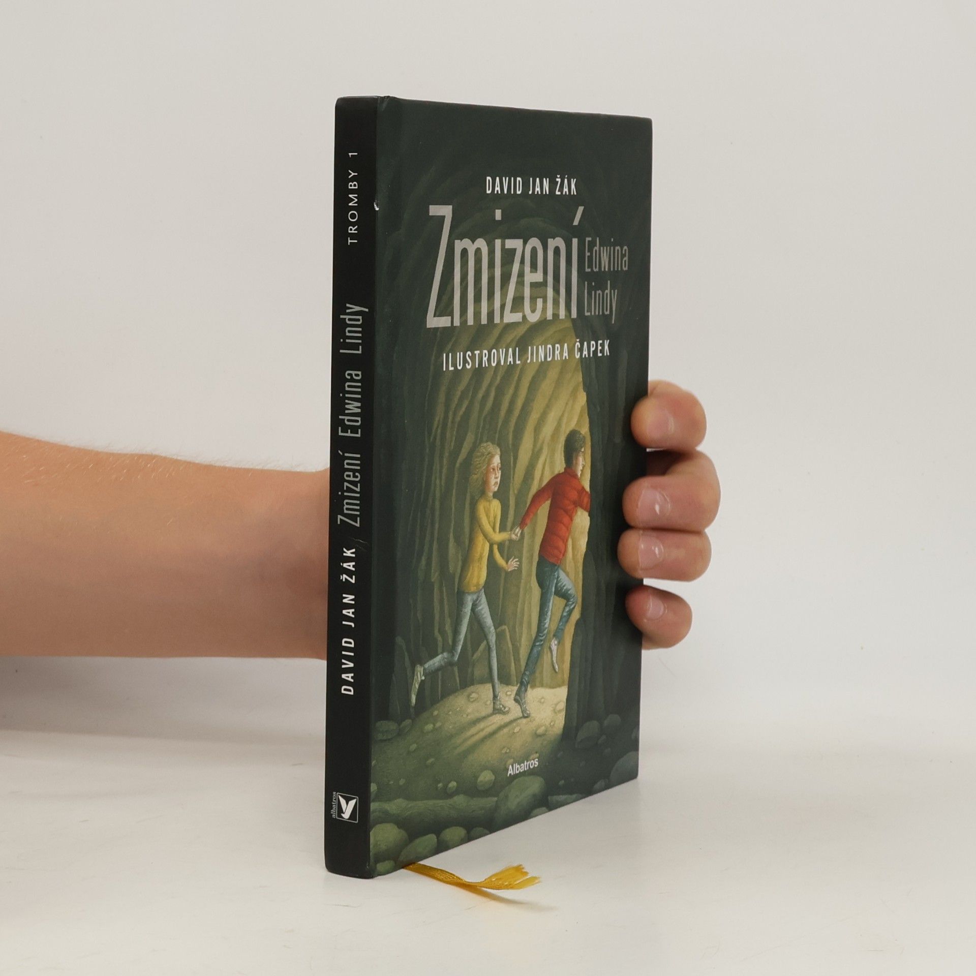 David Jan Žák Zmizení Edwina Lindy