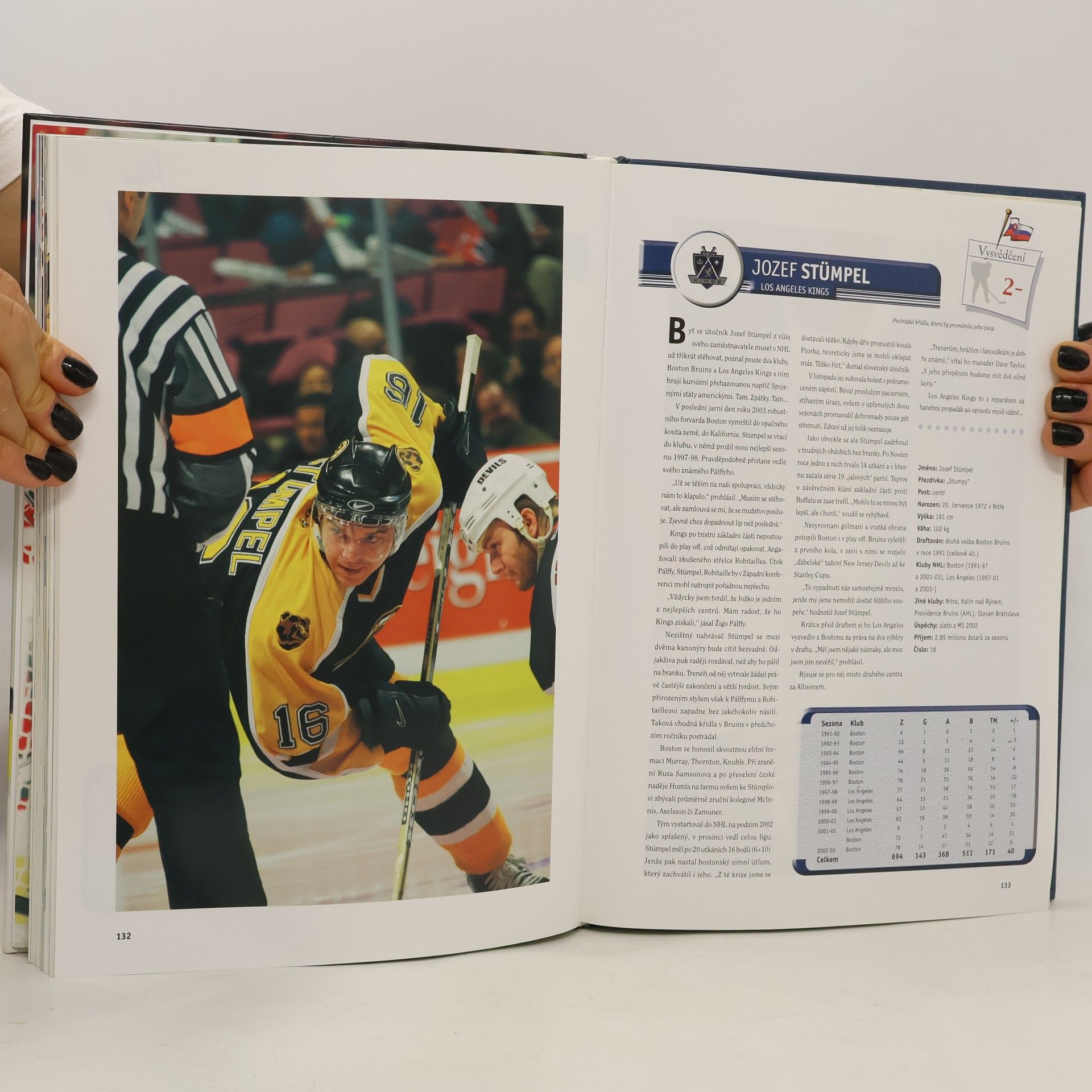 Kolektiv autorů Hvězdy NHL 2004
