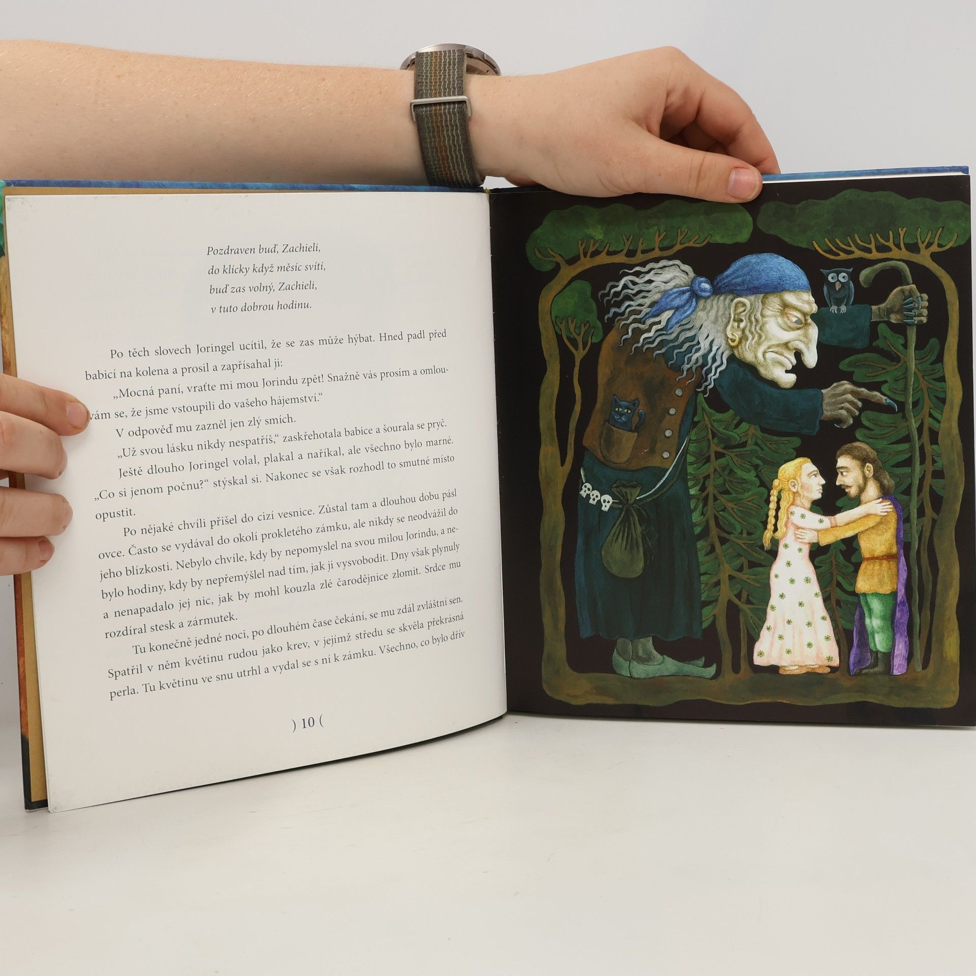 Jacob Grimm Jorinda a Joringel