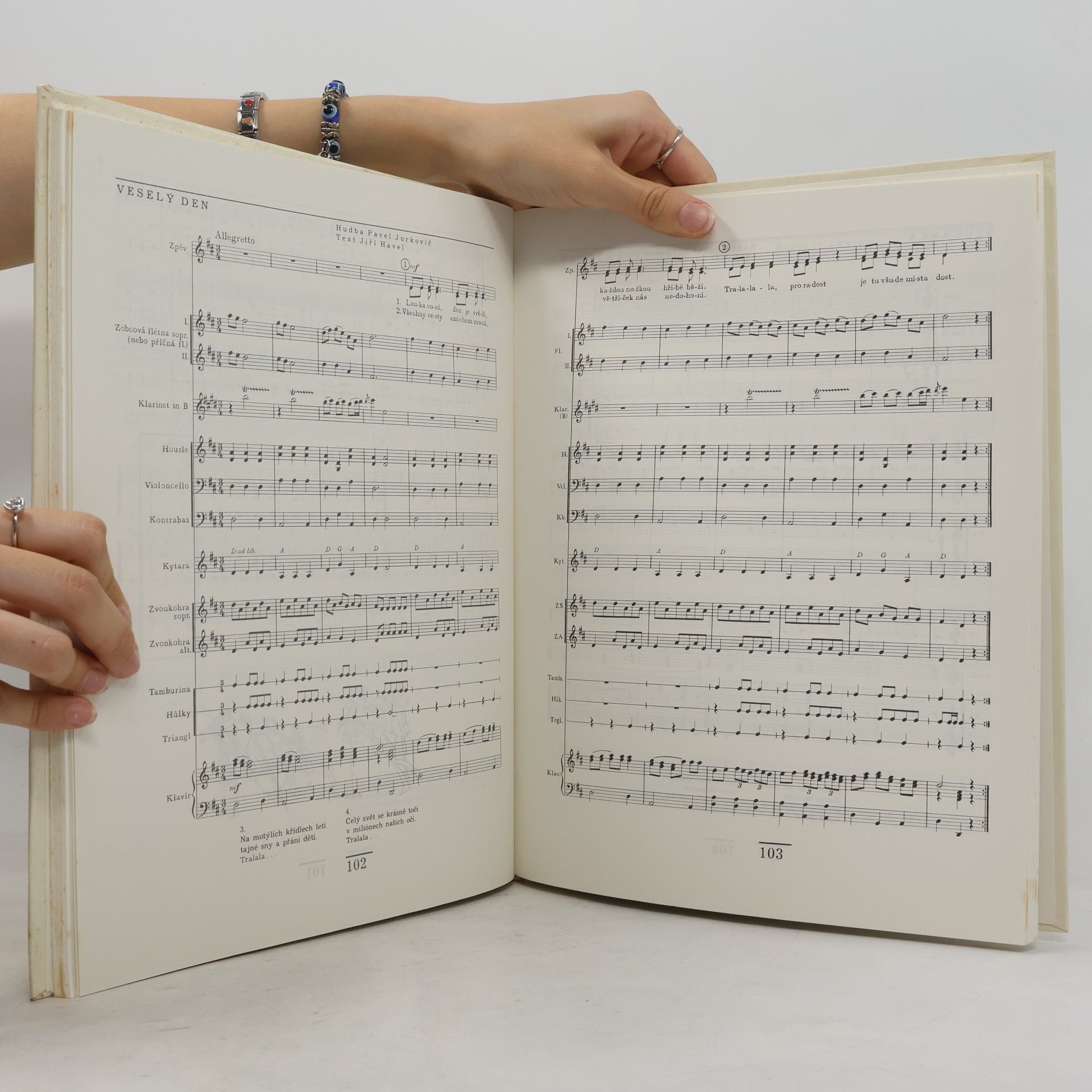Pavel Jurkovič Instrumentální soubor na základní škole