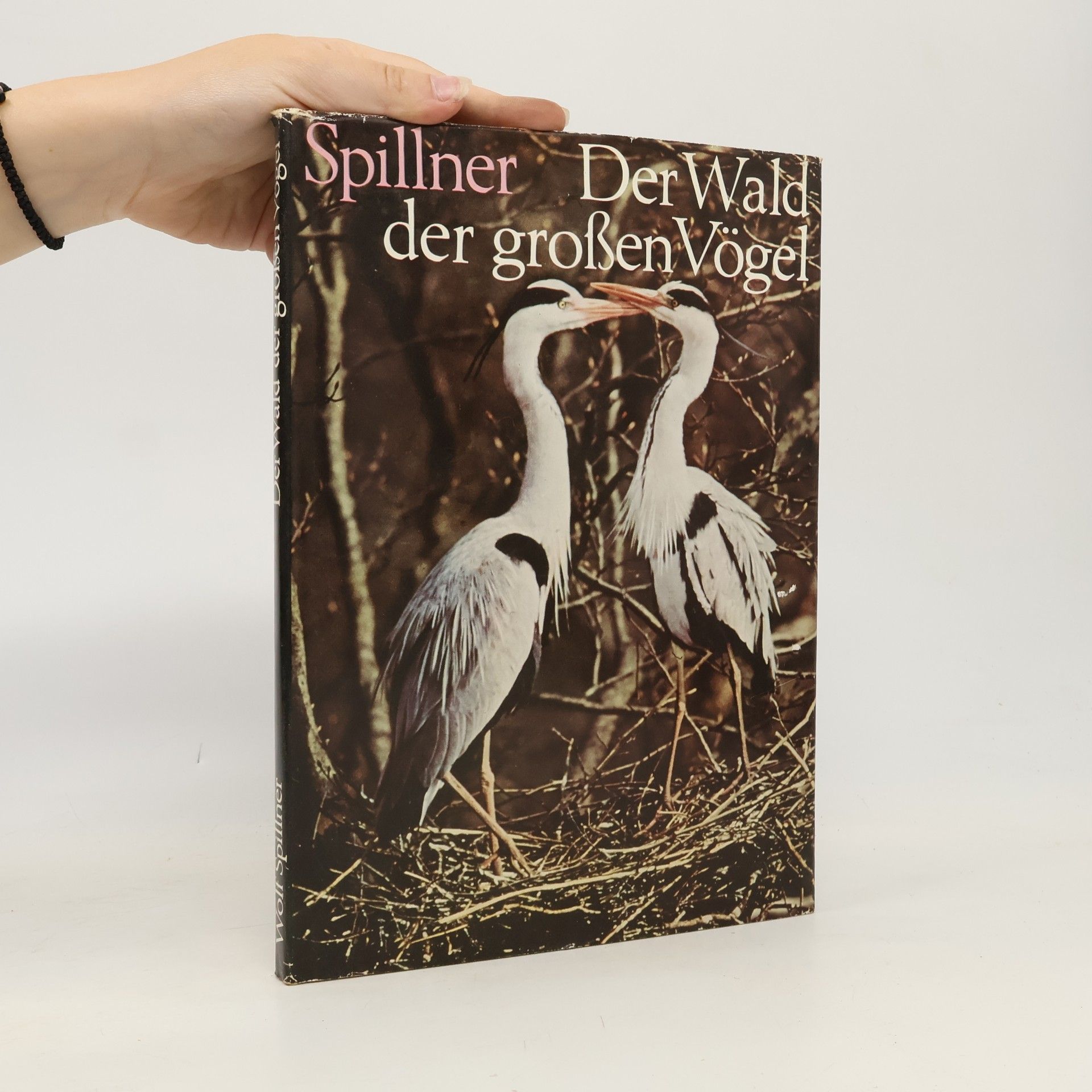 Der Wald der grossen Vögel