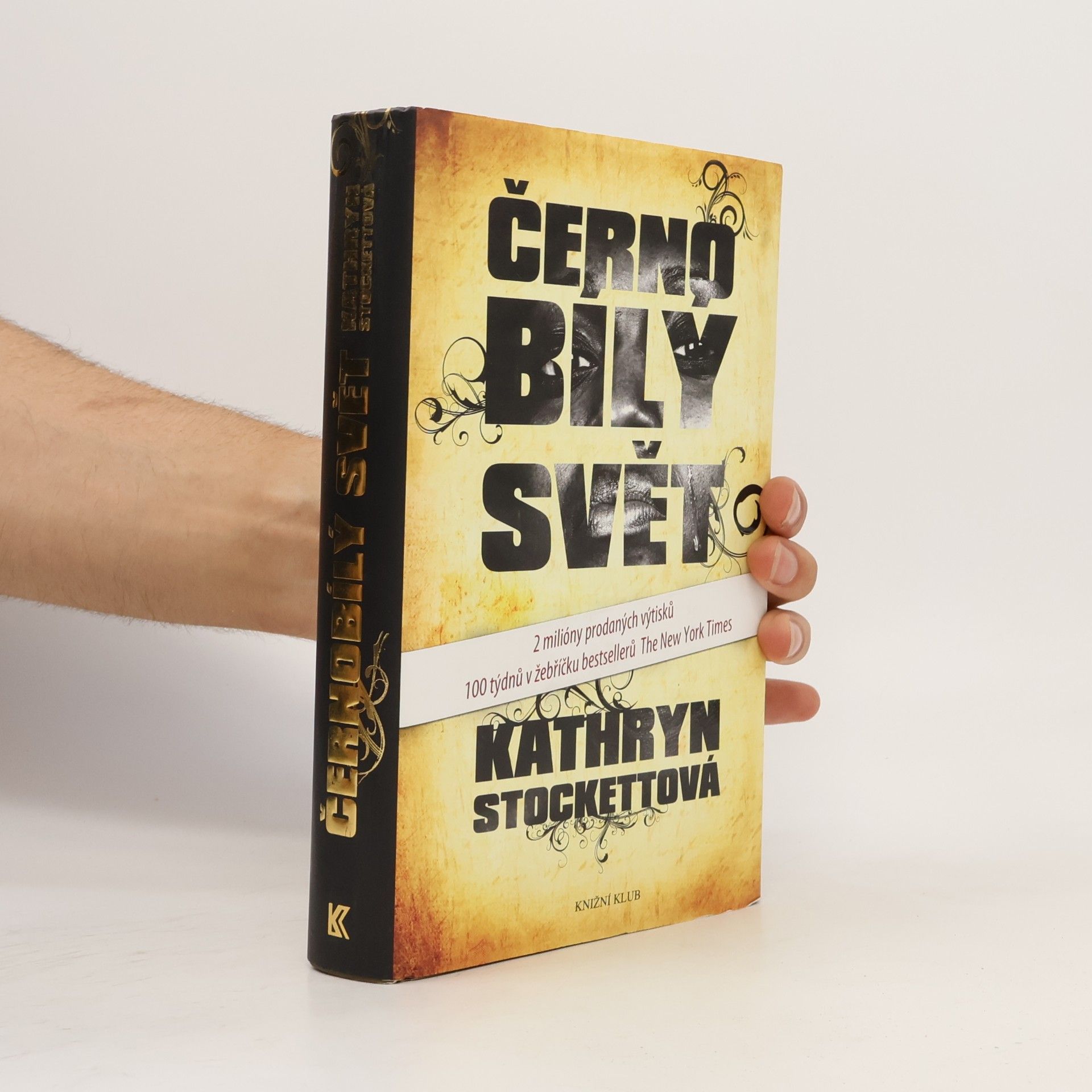 Kathryn Stockett Černobílý svět