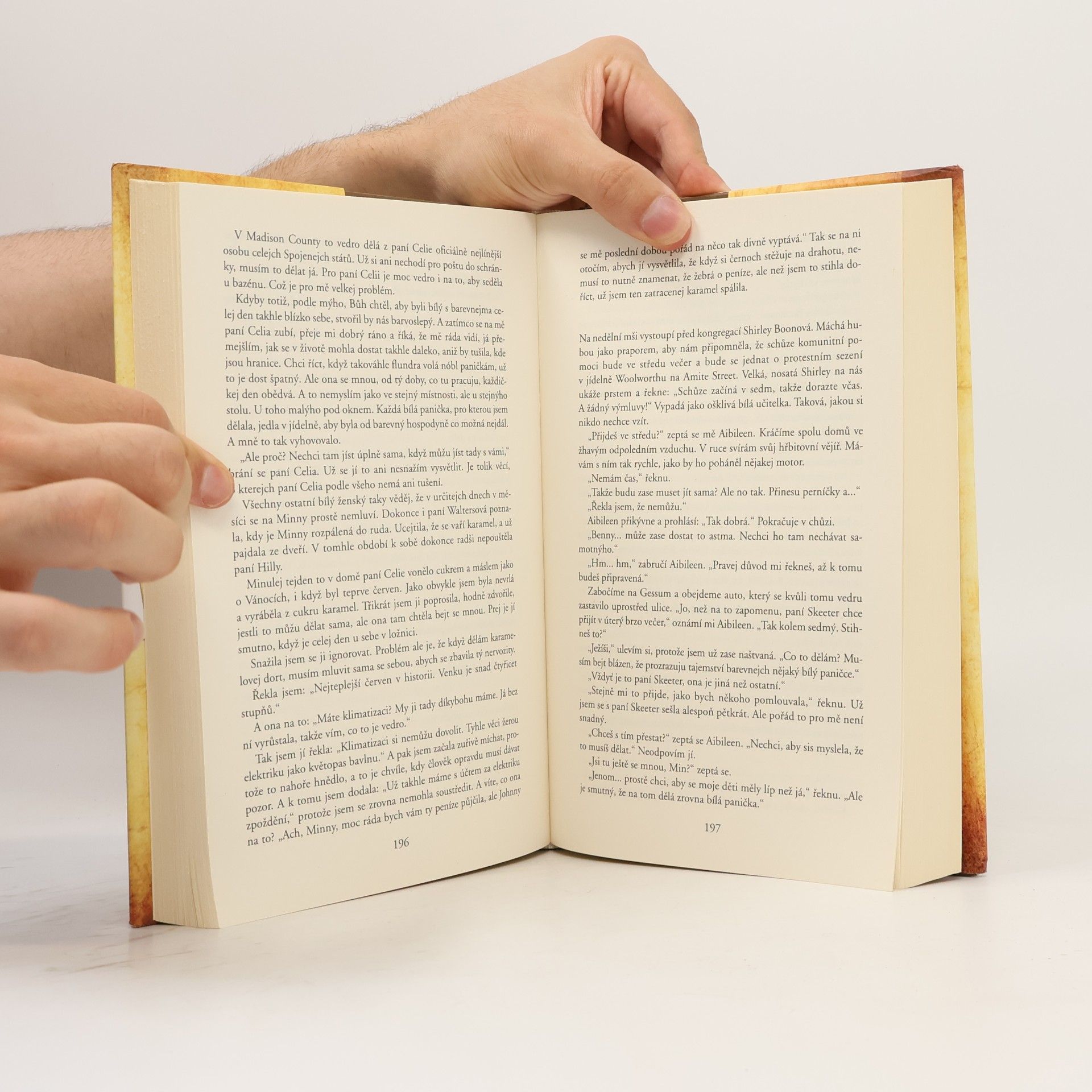 Kathryn Stockett Černobílý svět