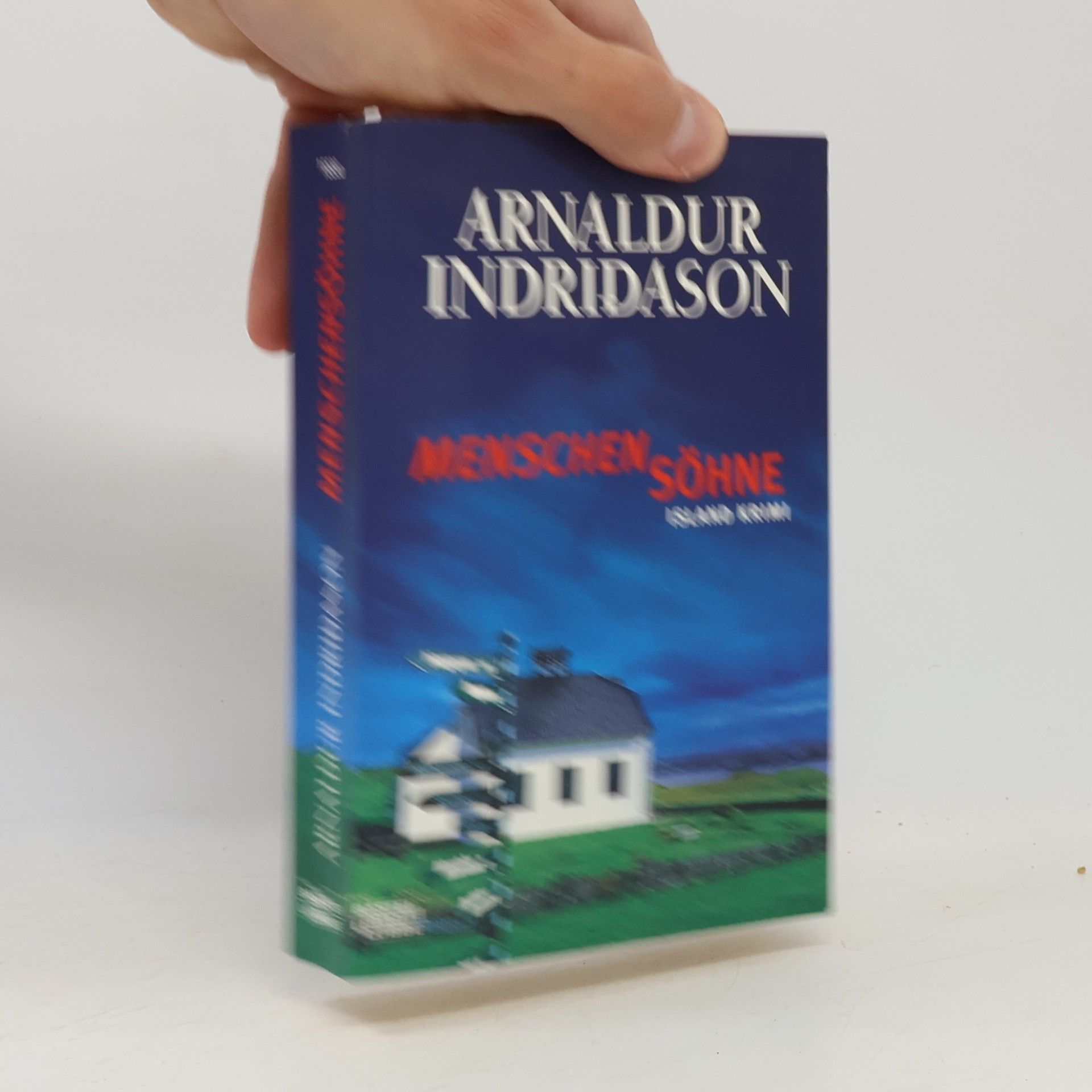 Arnaldur Indriðason Menschensöhne