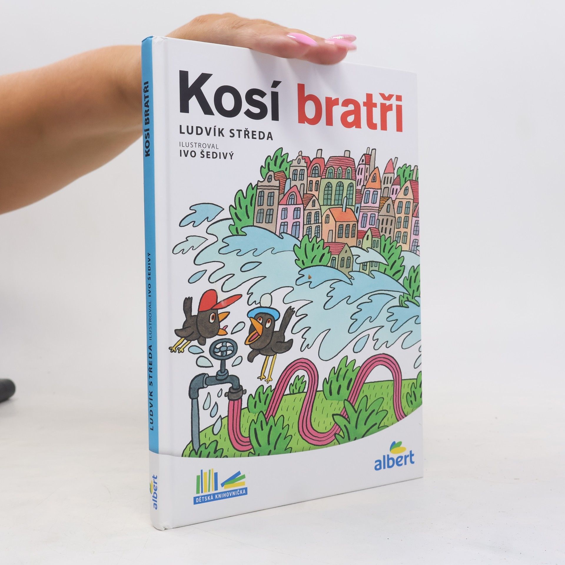 Ludvík Středa Kosí bratři