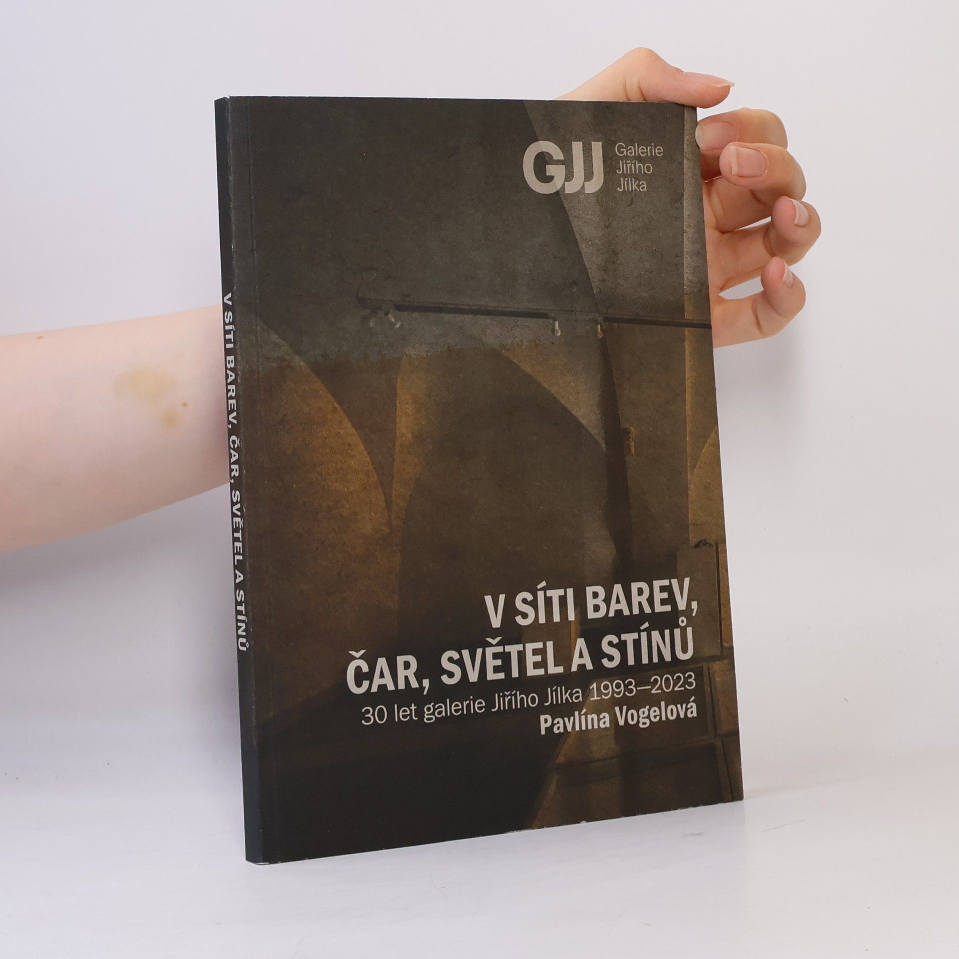 Pavlína Vogelová V síti barev, čar, světel a stínů : 30 let Galerie Jiřího Jílka 1993-2023
