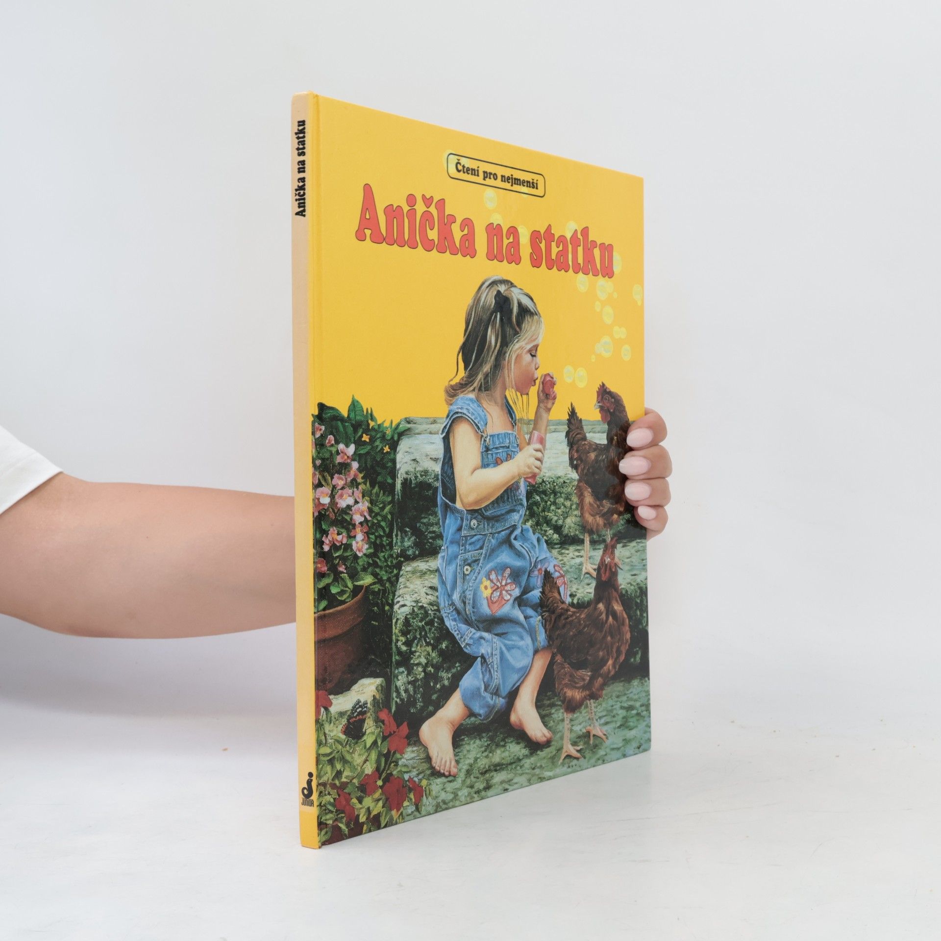 Autores varios Anička na statku