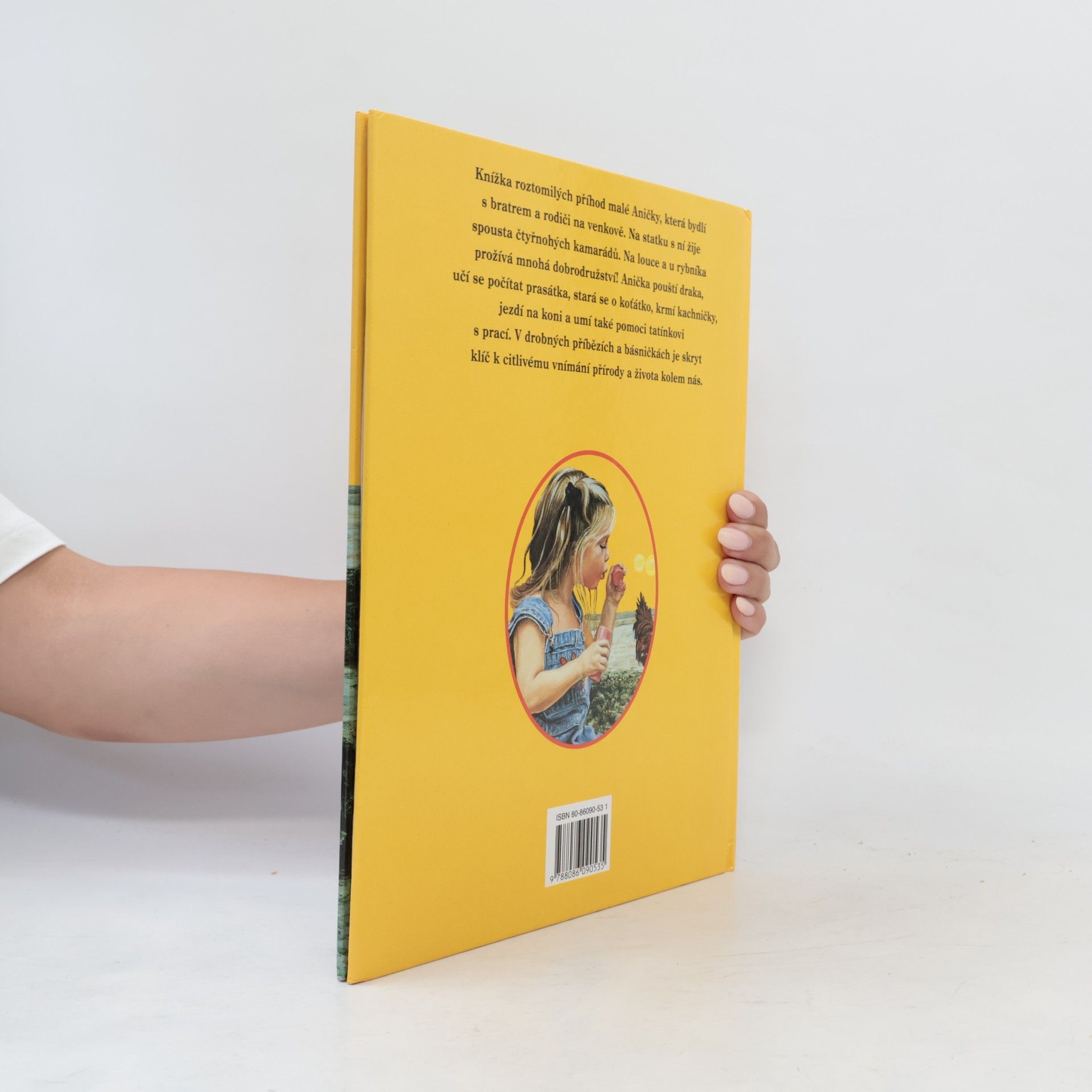 Autores varios Anička na statku