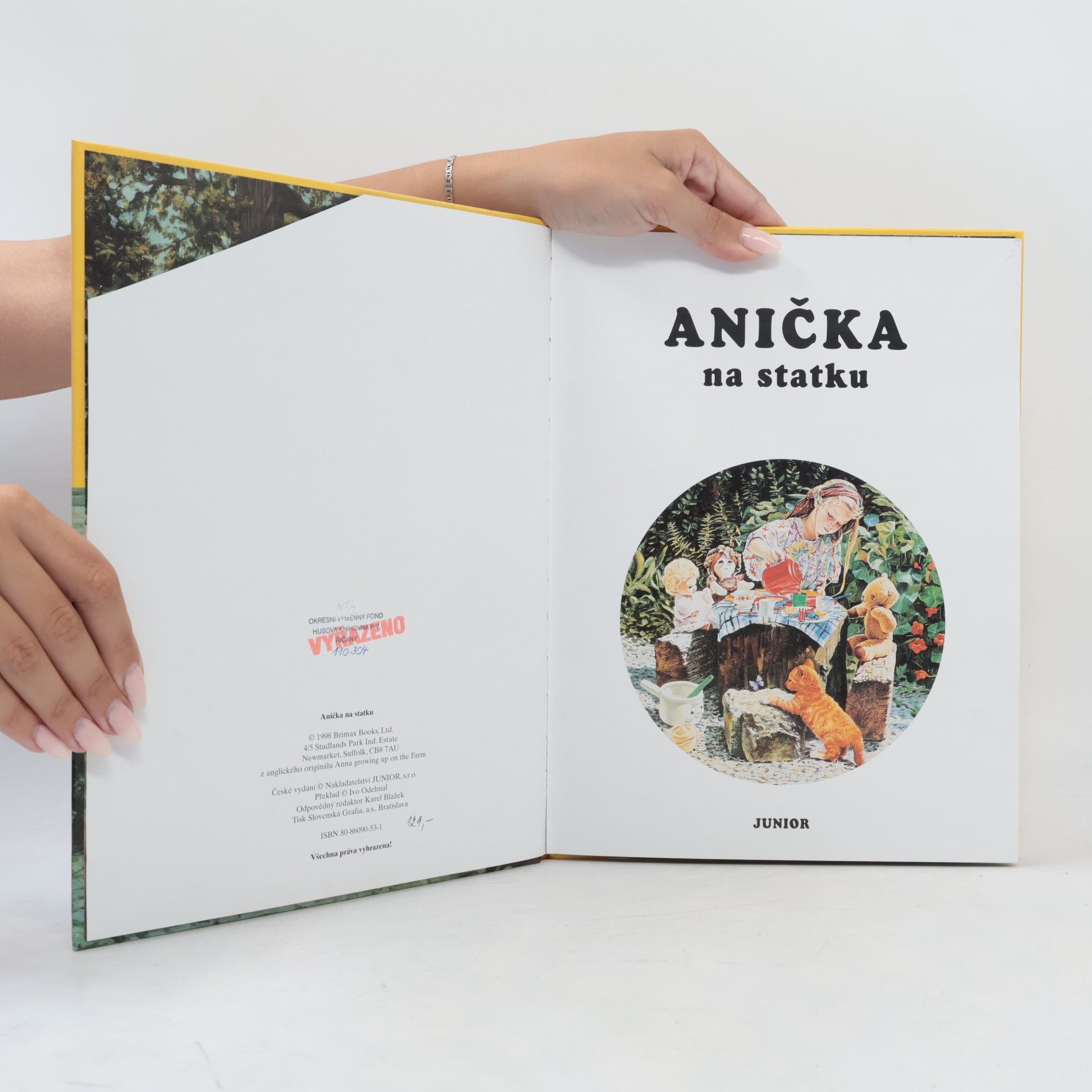 Autores varios Anička na statku