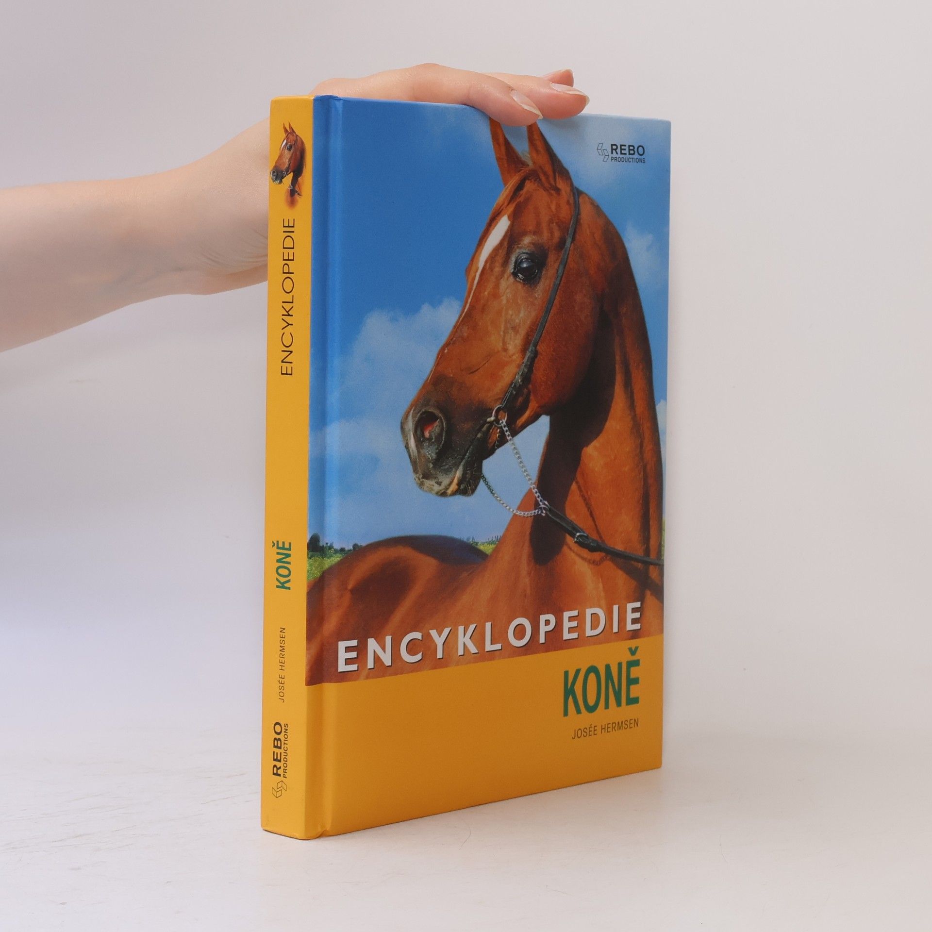 Kateřina Hlavová Koně : encyklopedie