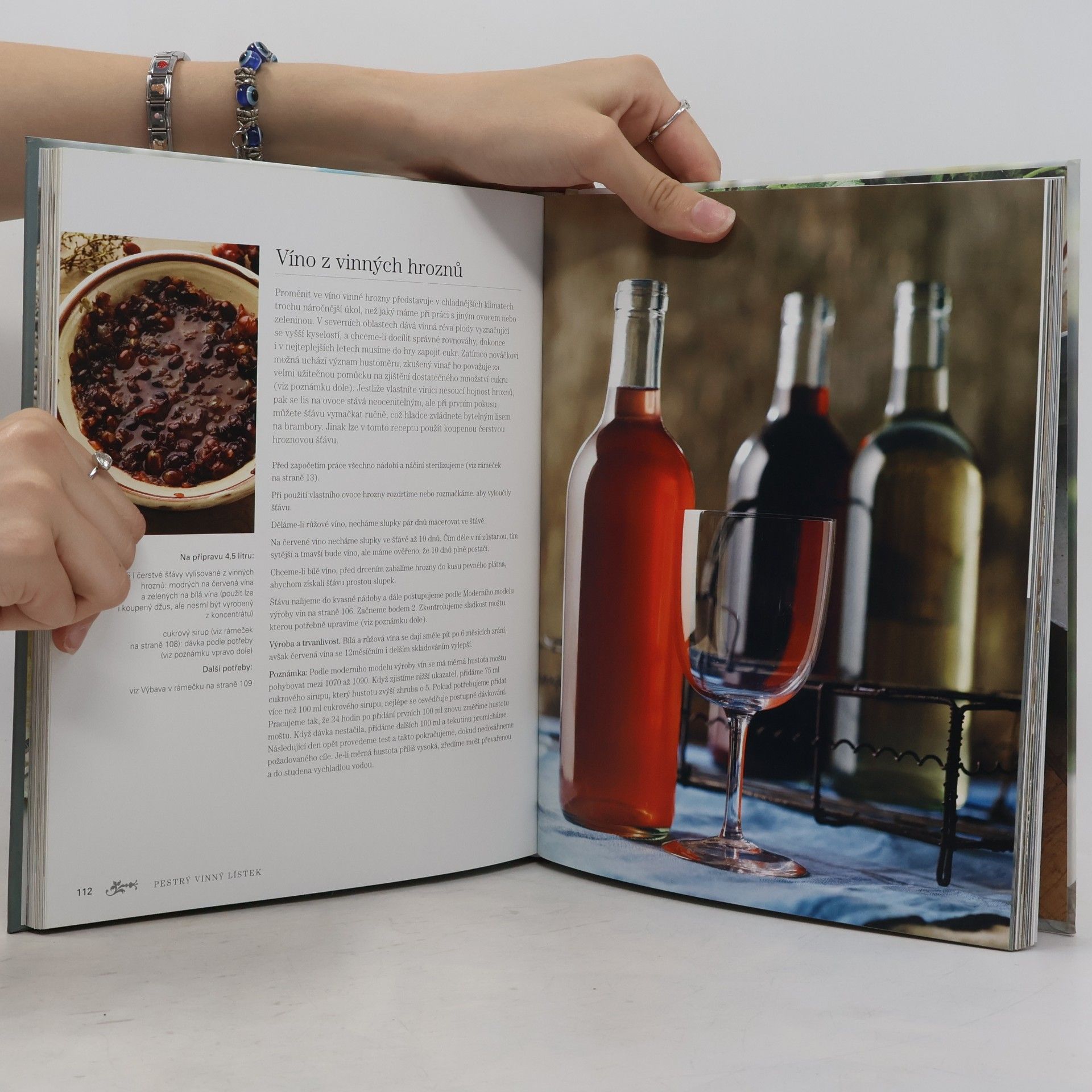 Lindy Wildsmith Domácí nápoje s alkoholem i bez něj