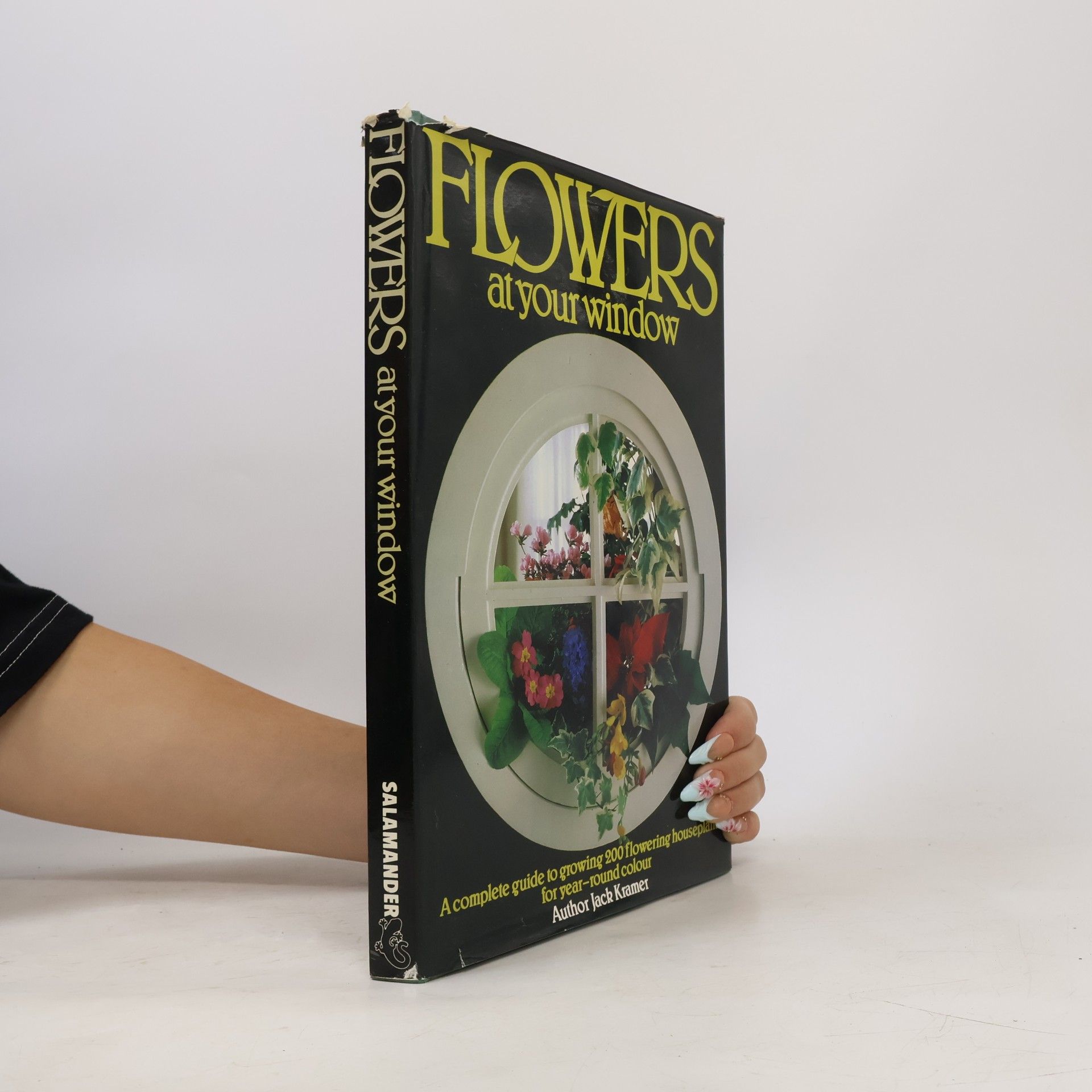 Jack Kramer Flowers at Your Window