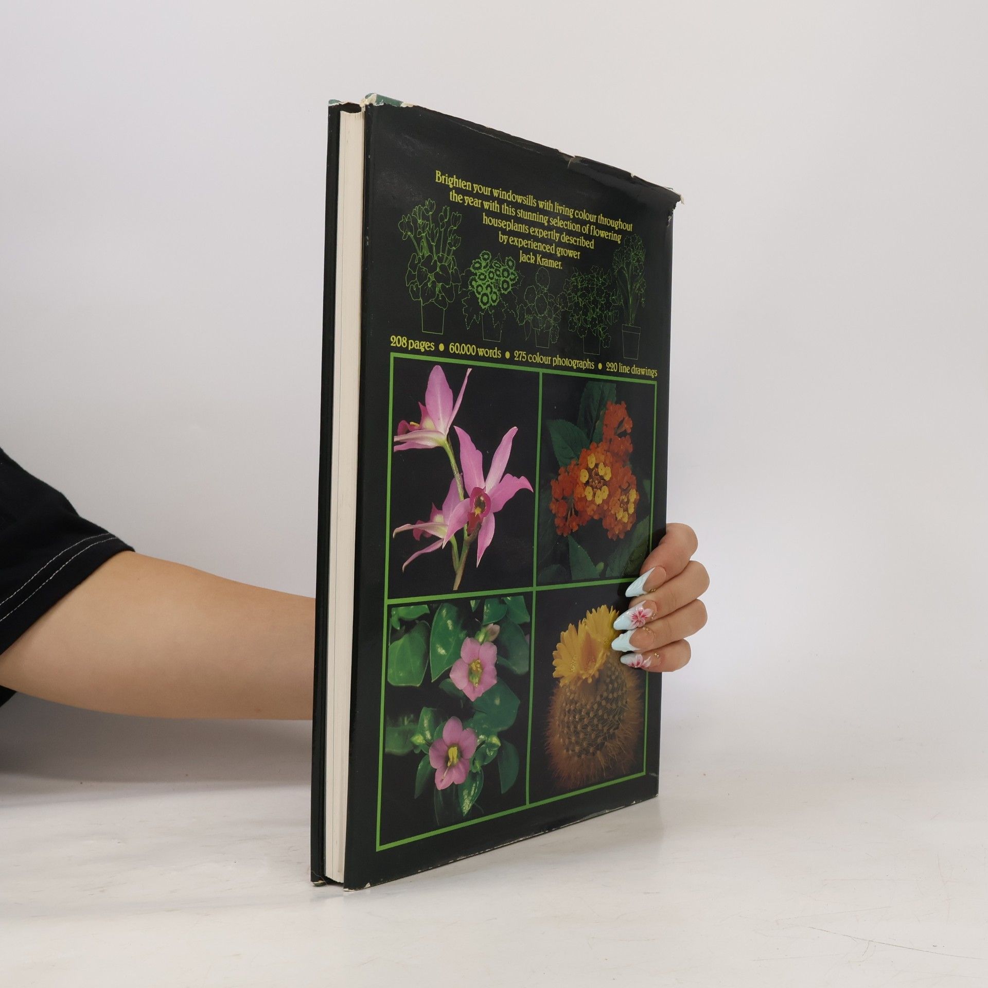 Jack Kramer Flowers at Your Window