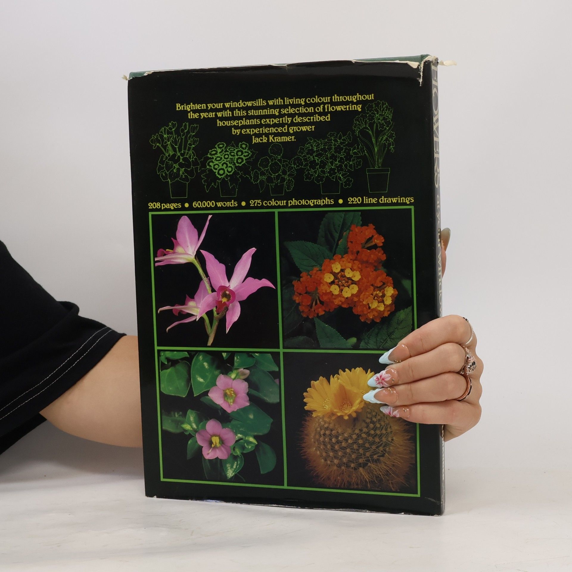 Jack Kramer Flowers at Your Window