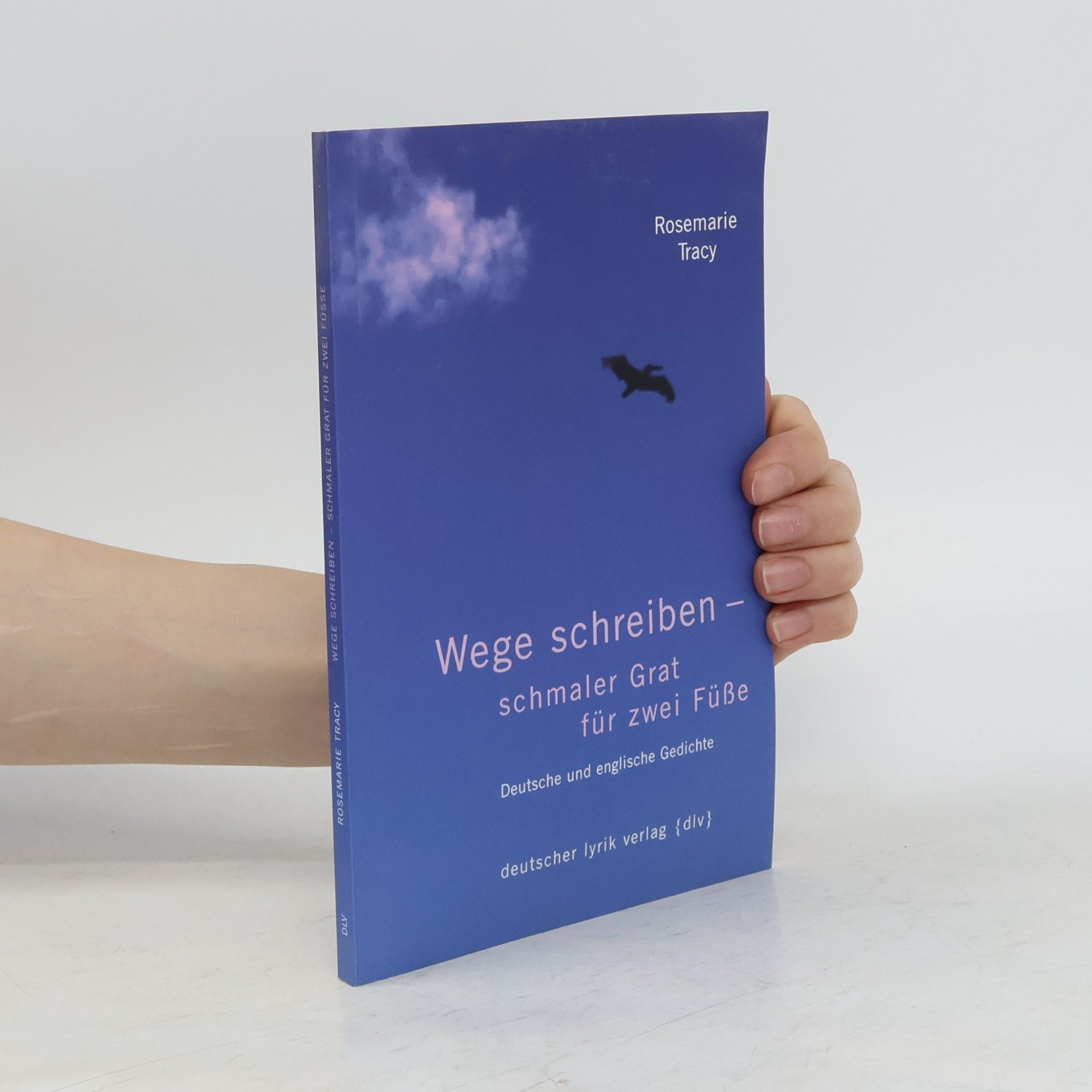 Rosemarie Tracy Wege schreiben - schmaler Grat für zwei Füße