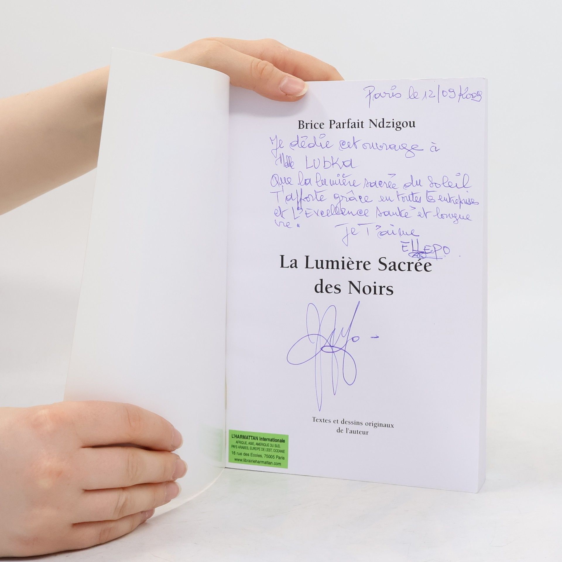 Brice Parfait Ndzigou La lumière sacrée des noirs