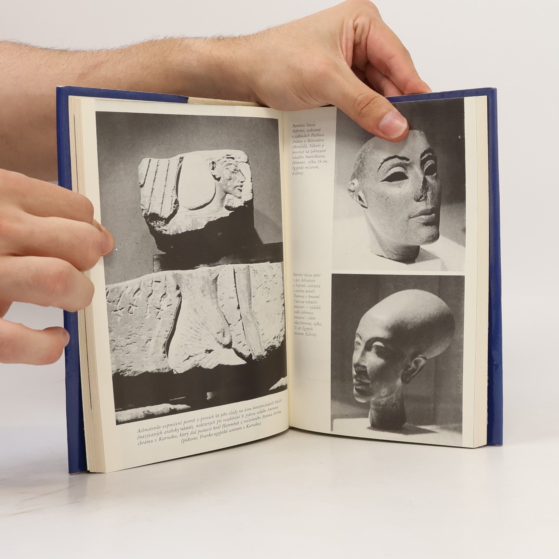 Philipp Vandenberg Nefertiti